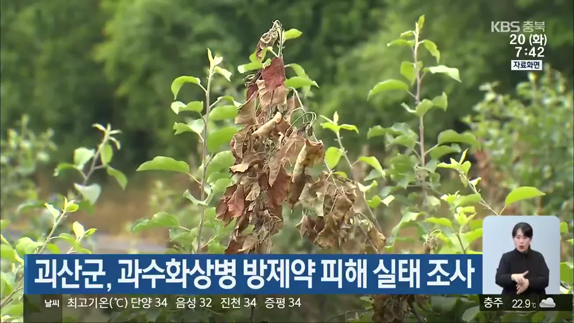 괴산군, 과수화상병 방제약 피해 실태 조사