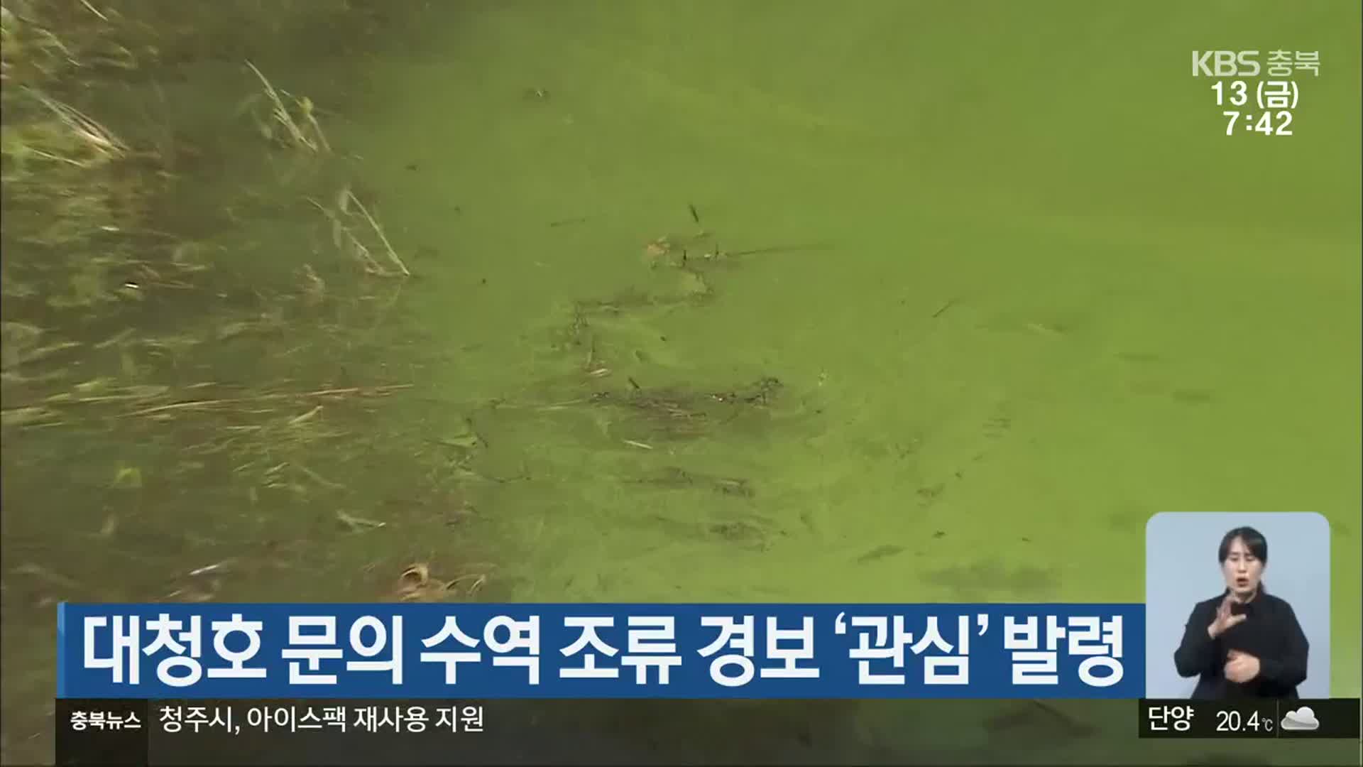 대청호 문의 수역 조류 경보 ‘관심’ 발령