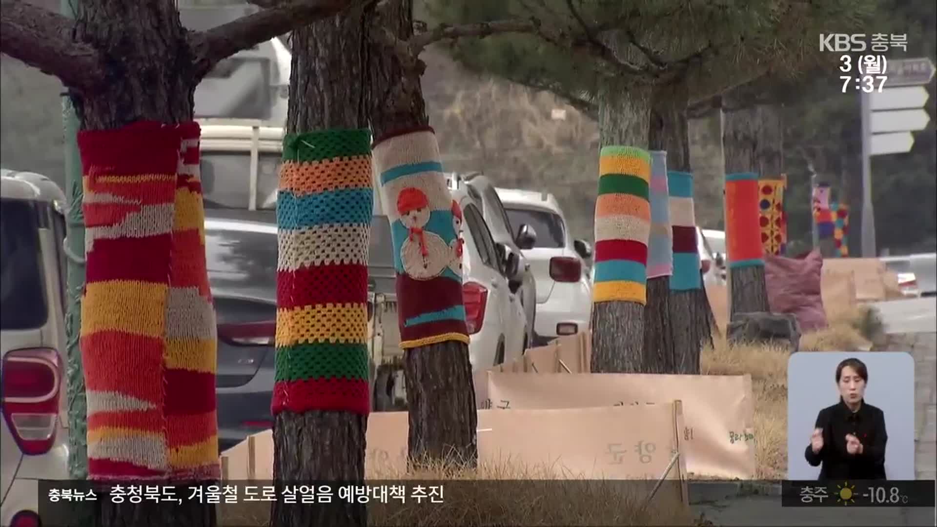나무에 두른 ‘뜨개옷’…“해충 제거 효과 없어”