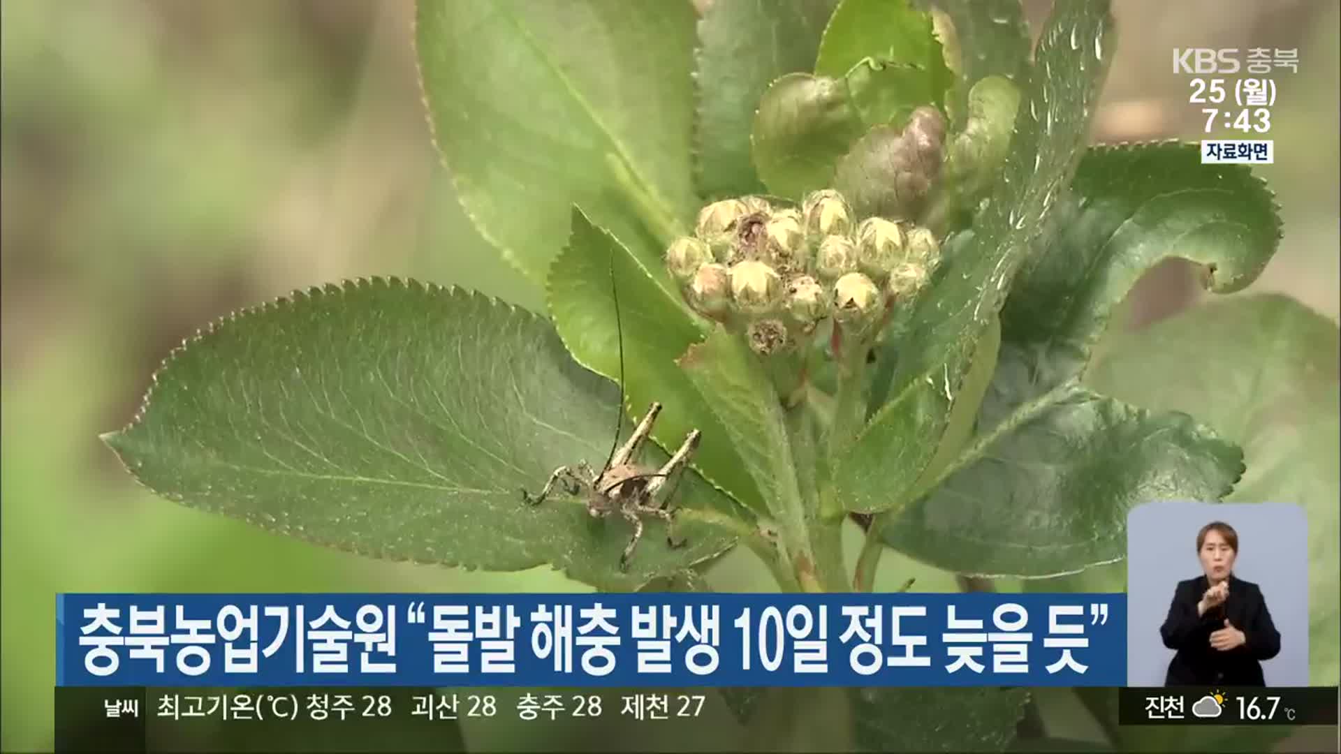 충북농업기술원 “돌발 해충 발생 10일 정도 늦을 듯”
