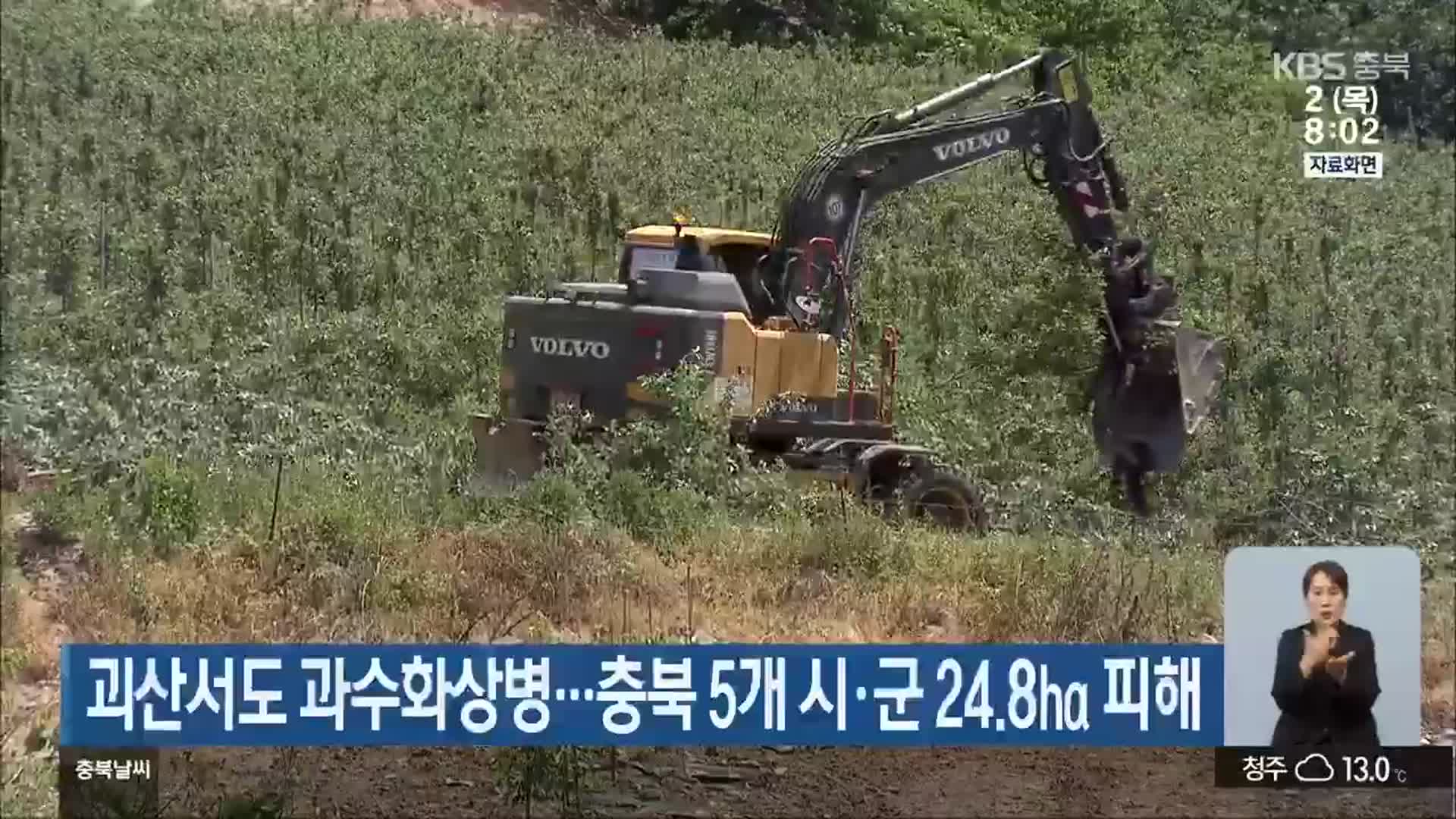 괴산서도 과수화상병…충북 5개 시·군 24.8㏊ 피해