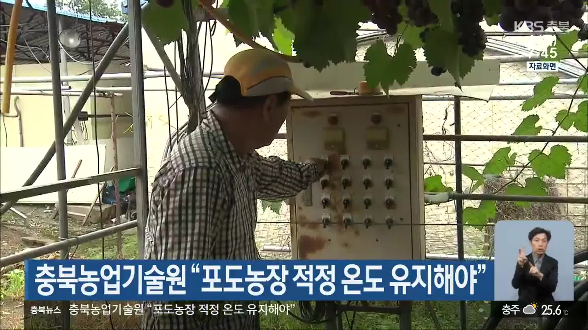 충북농업기술원 “포도농장 적정 온도 유지해야”