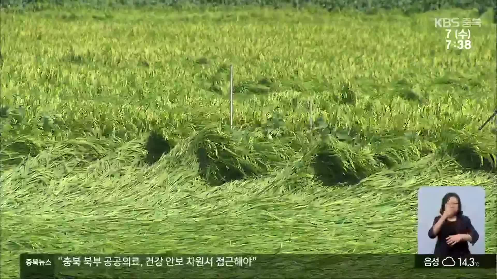 농작물도 쓰러지고 잠기고…축구장 27개 크기 피해