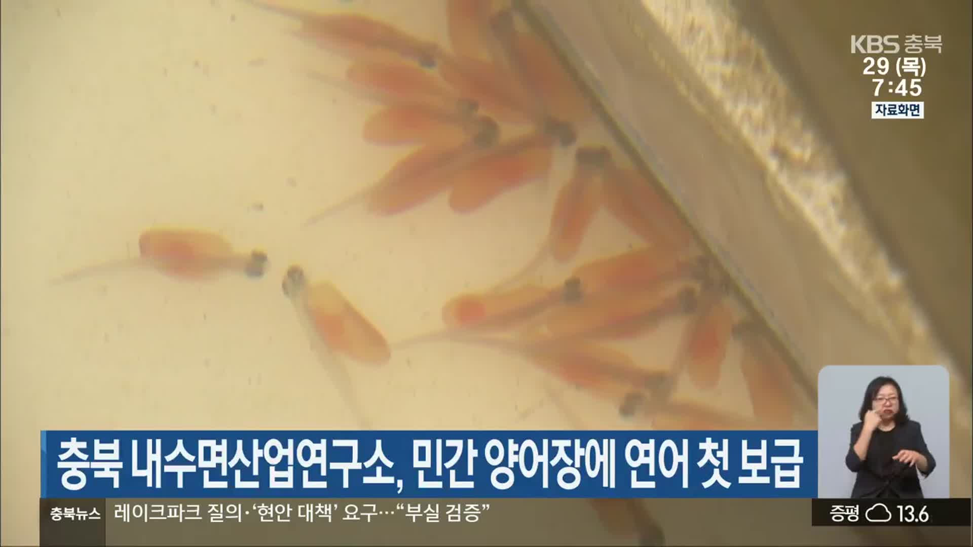 충북 내수면산업연구소, 민간 양어장에 연어 첫 보급
