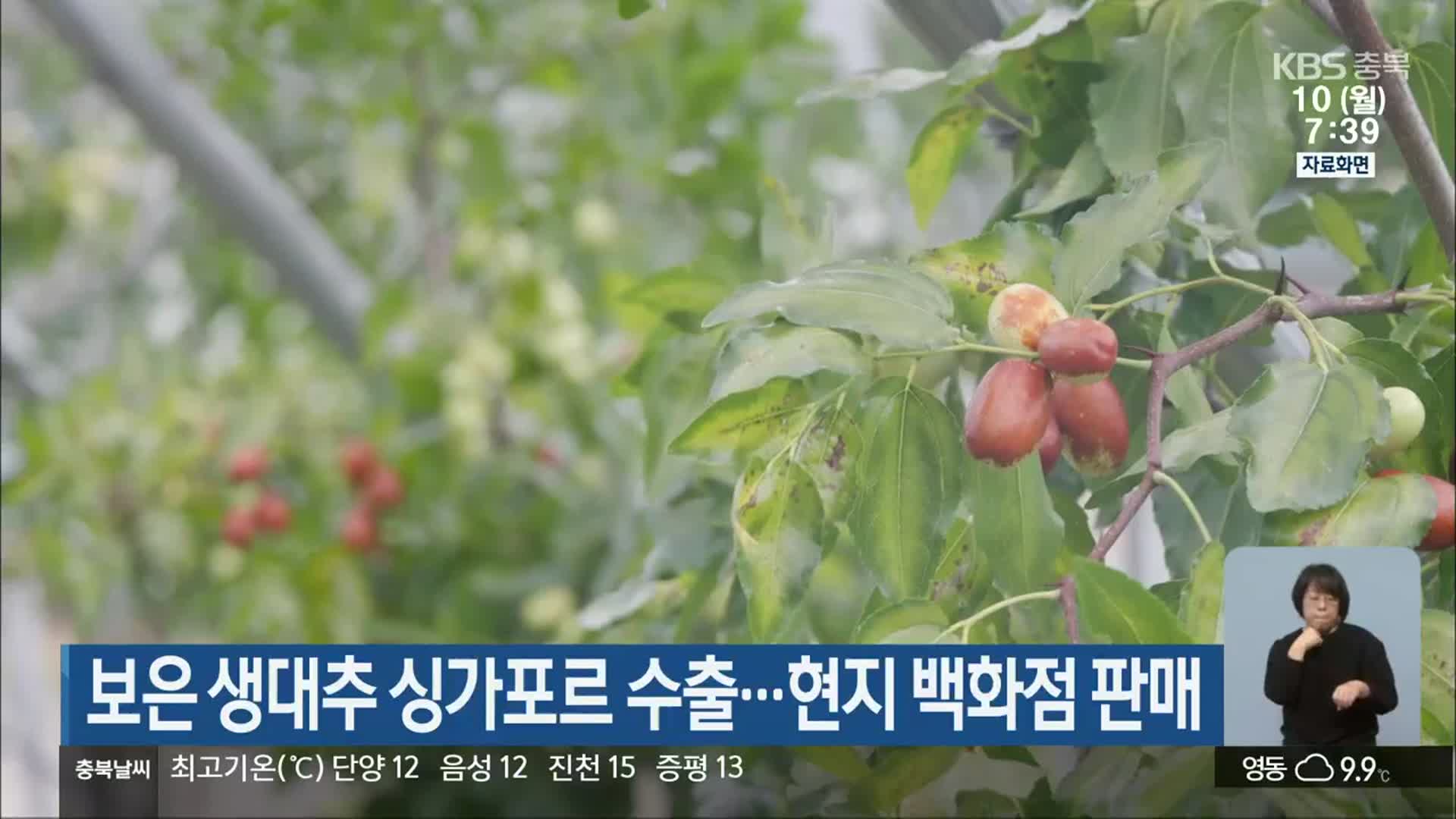 보은 생대추 싱가포르 수출…현지 백화점 판매