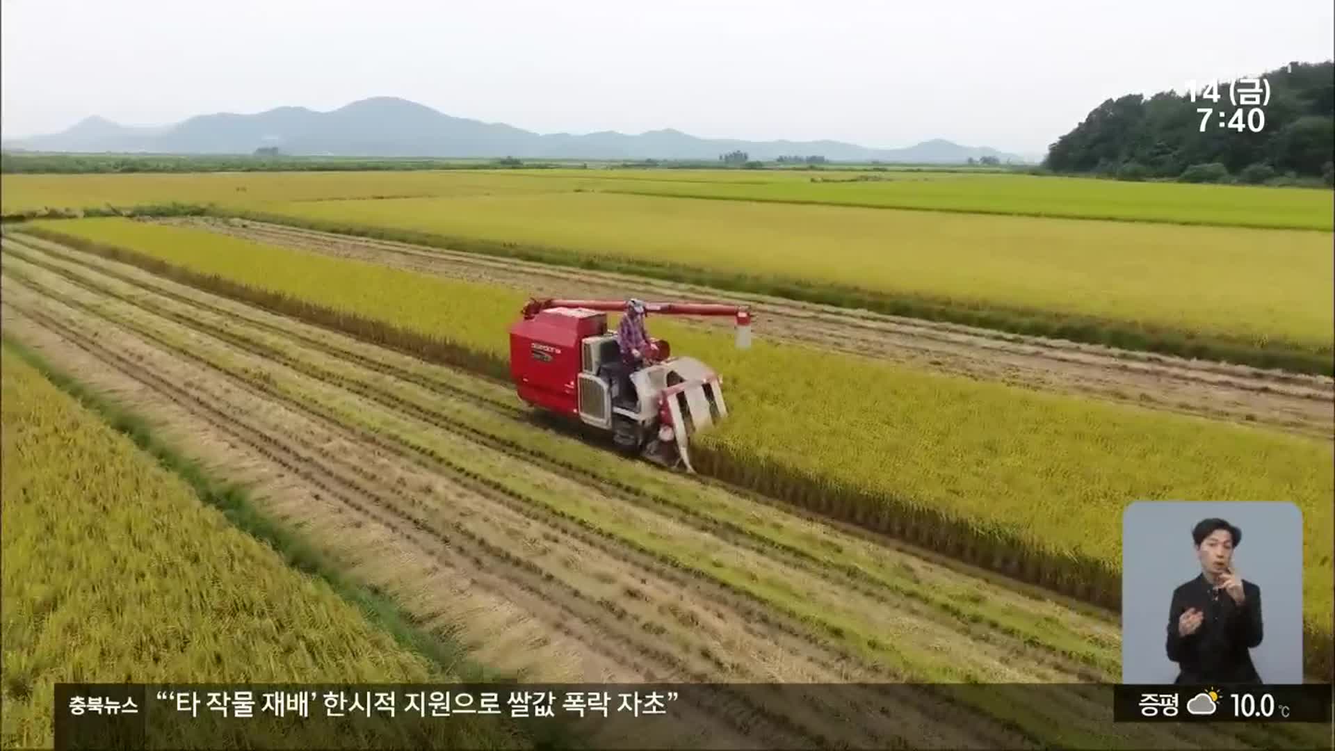 ‘타 작물 재배’ 한시적 지원…“쌀 생산 조절, 예견된 실패”