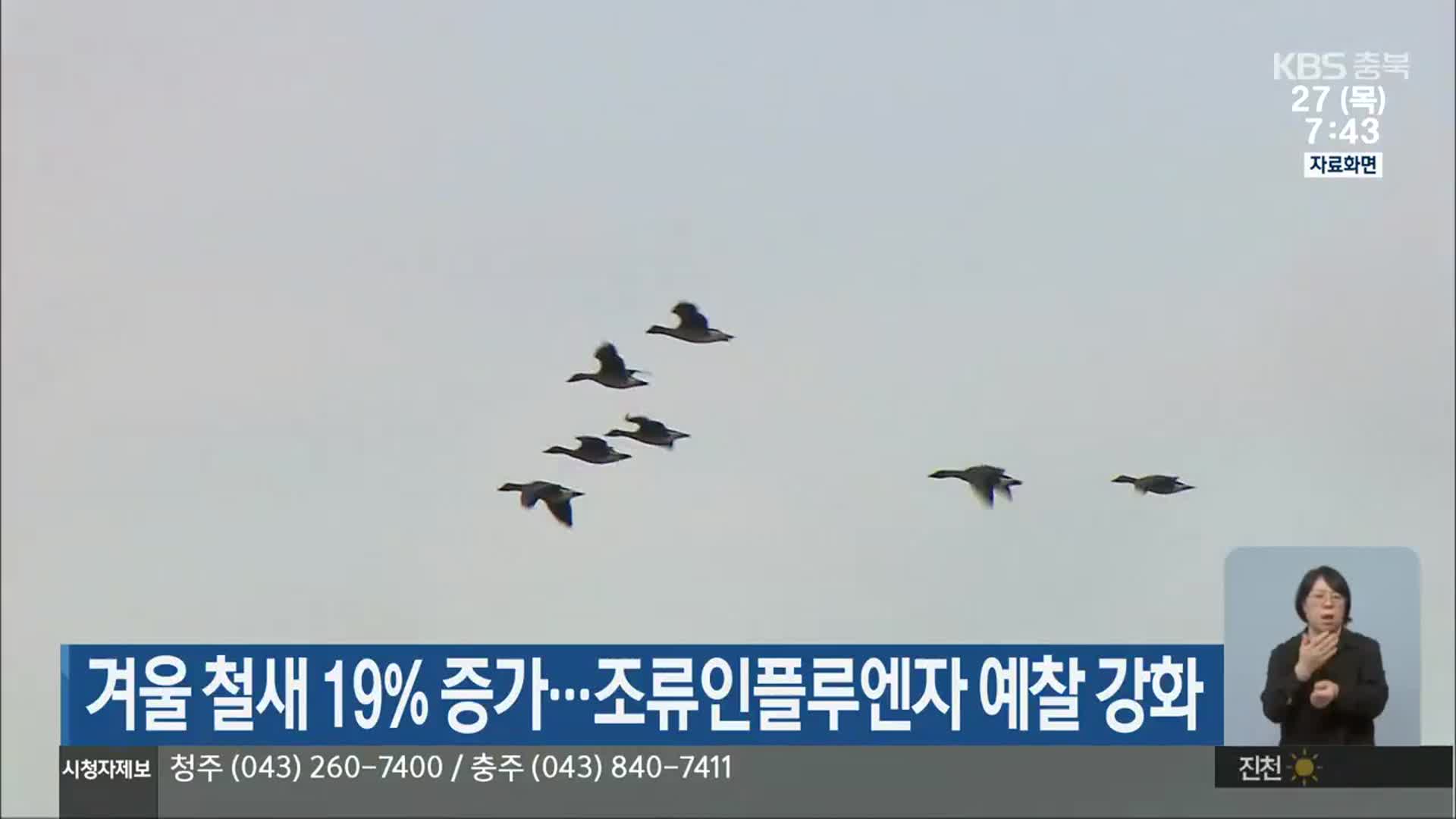 겨울 철새 19% 증가…조류인플루엔자 예찰 강화