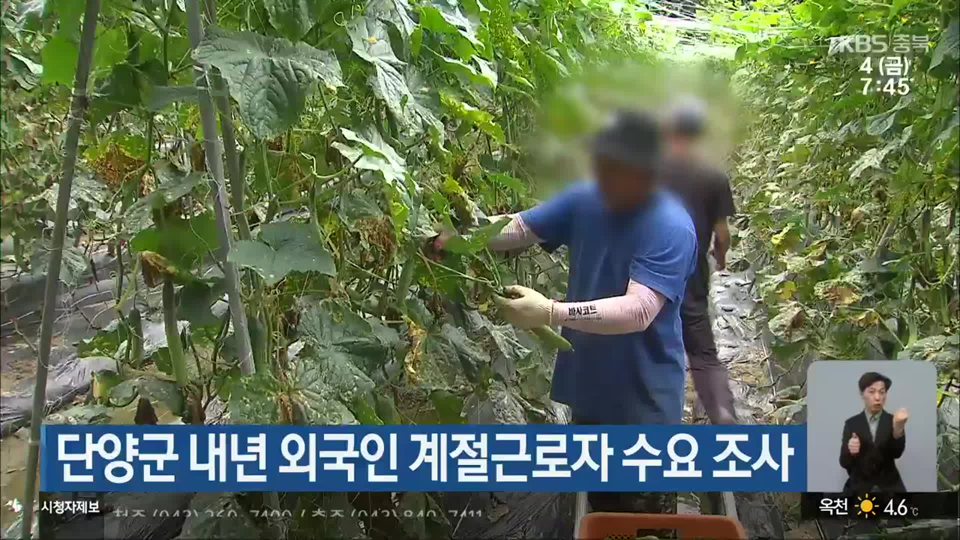 단양군 내년 외국인 계절근로자 수요 조사