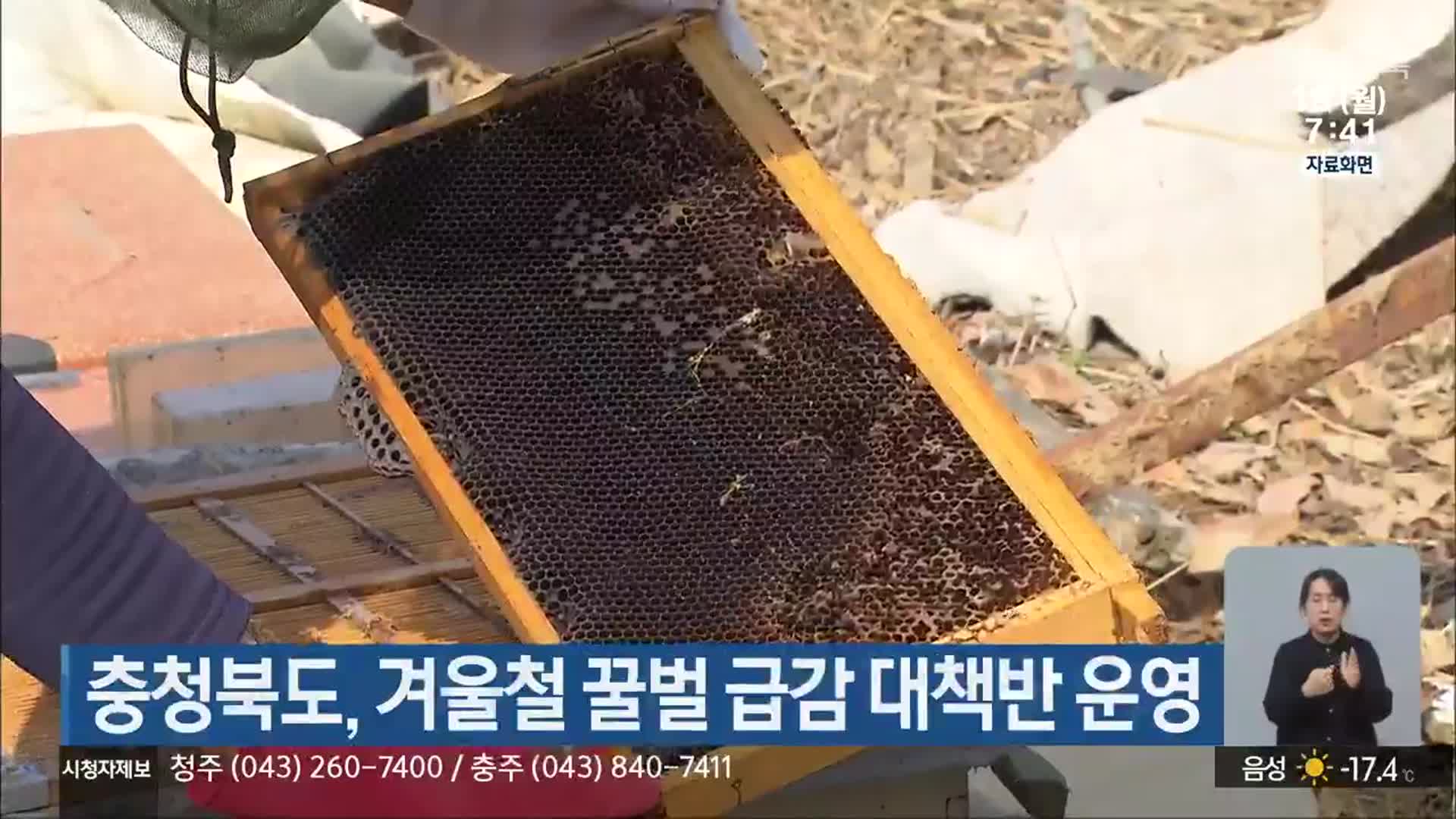 충청북도, 겨울철 꿀벌 급감 대책반 운영
