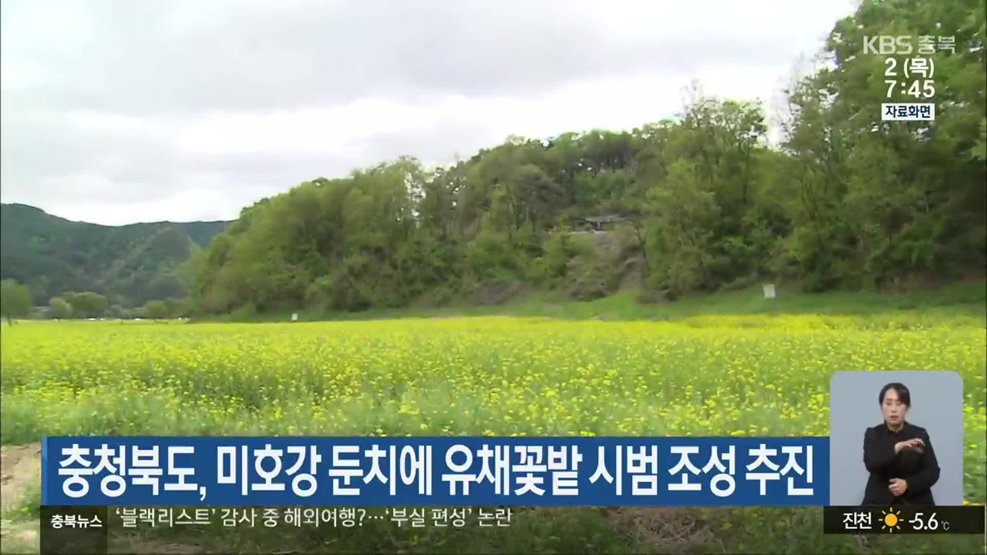 충청북도, 미호강 둔치에 유채꽃밭 시범 조성 추진