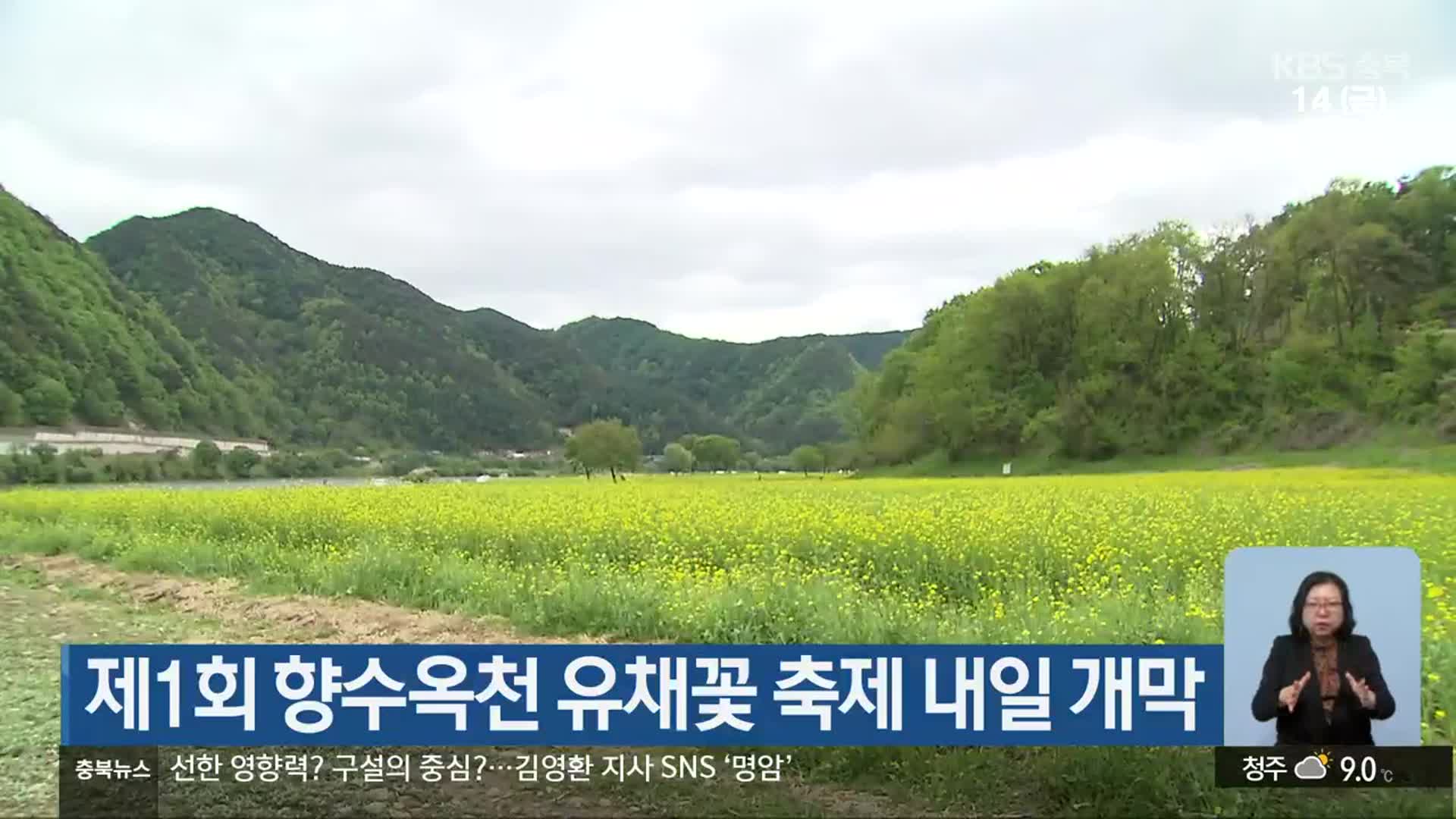 제1회 향수옥천 유채꽃 축제 내일 개막