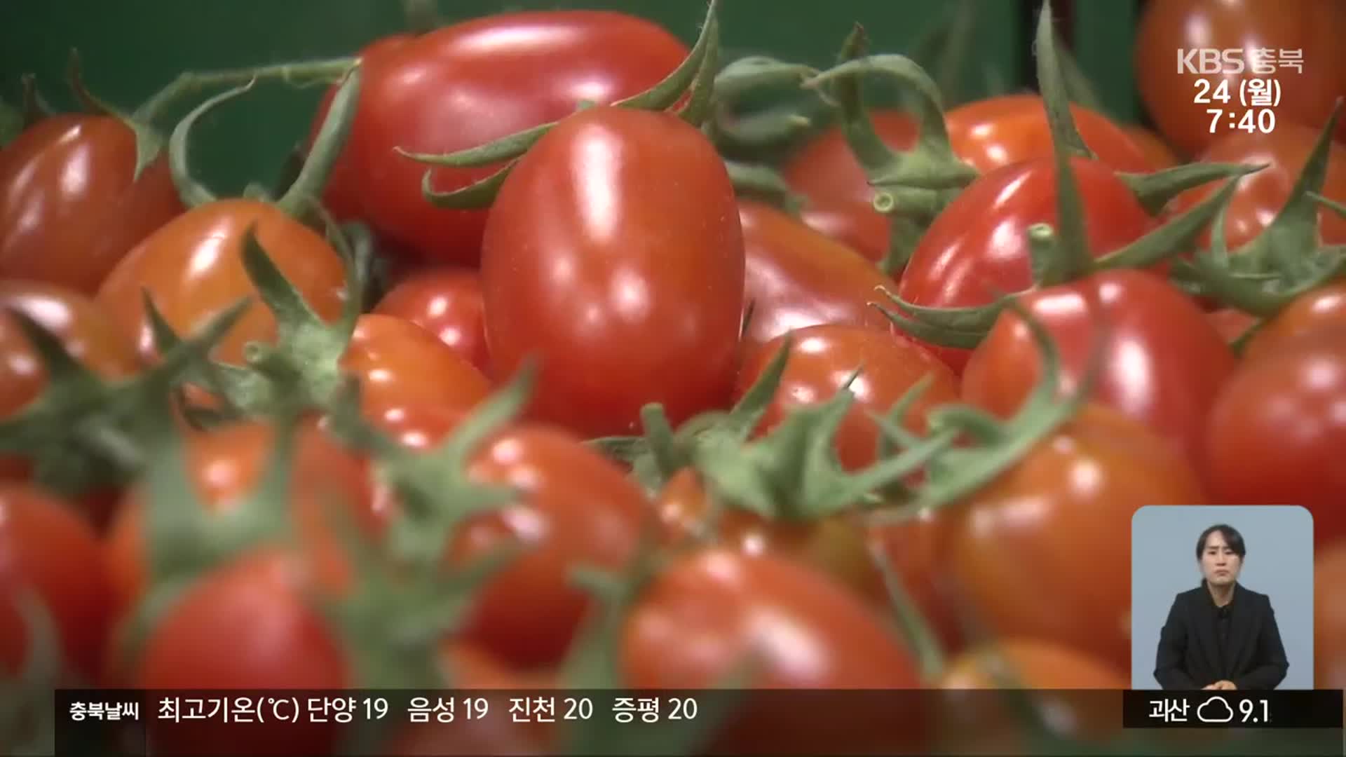 “토마토 좀 사 주세요”…지자체·유통업계 공동작전