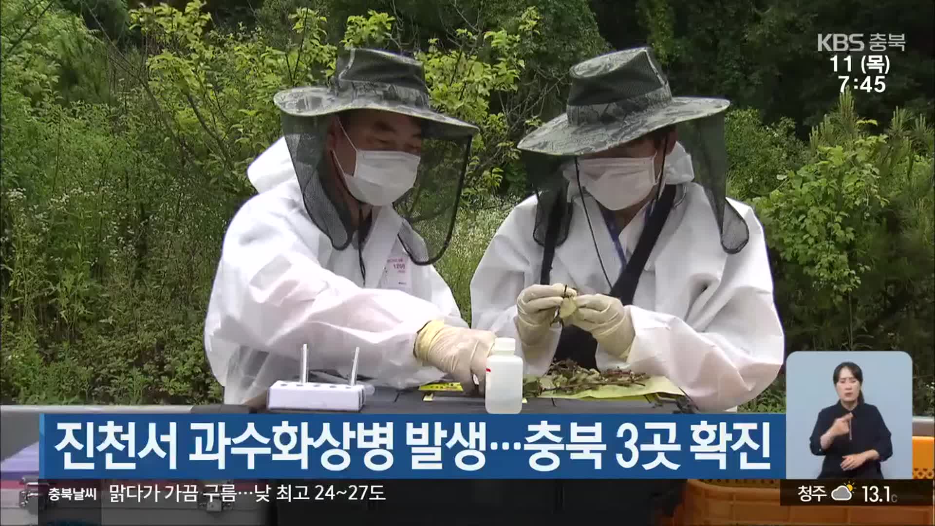 진천서 과수화상병 발생…충북 3곳 확진