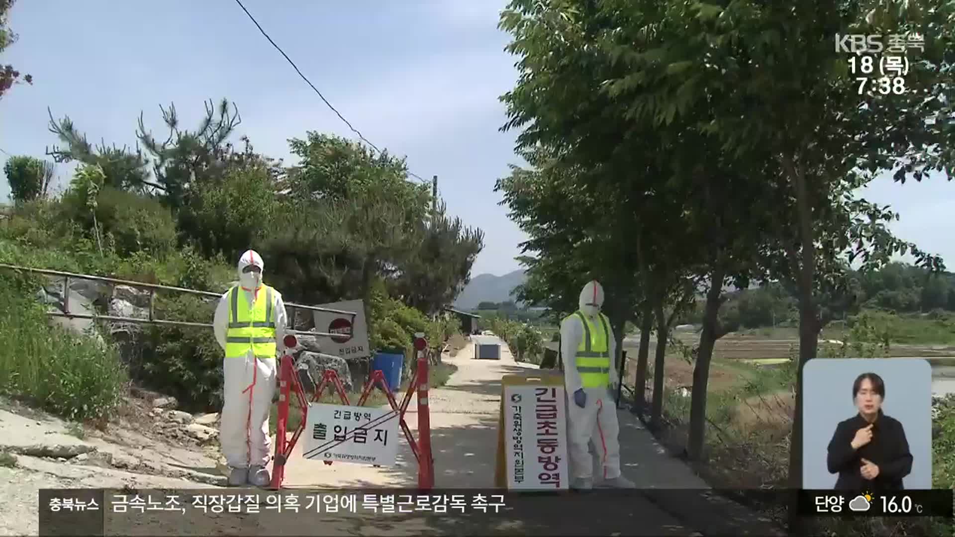 구제역 발생 일주일 만에 확진 농가 두 자릿수…“차단 방역 집중”