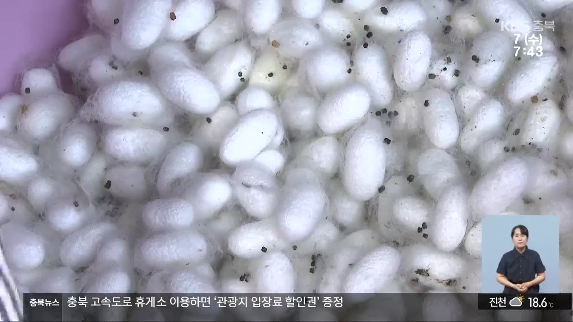 문화유산 ‘양잠’ 가치 재조명