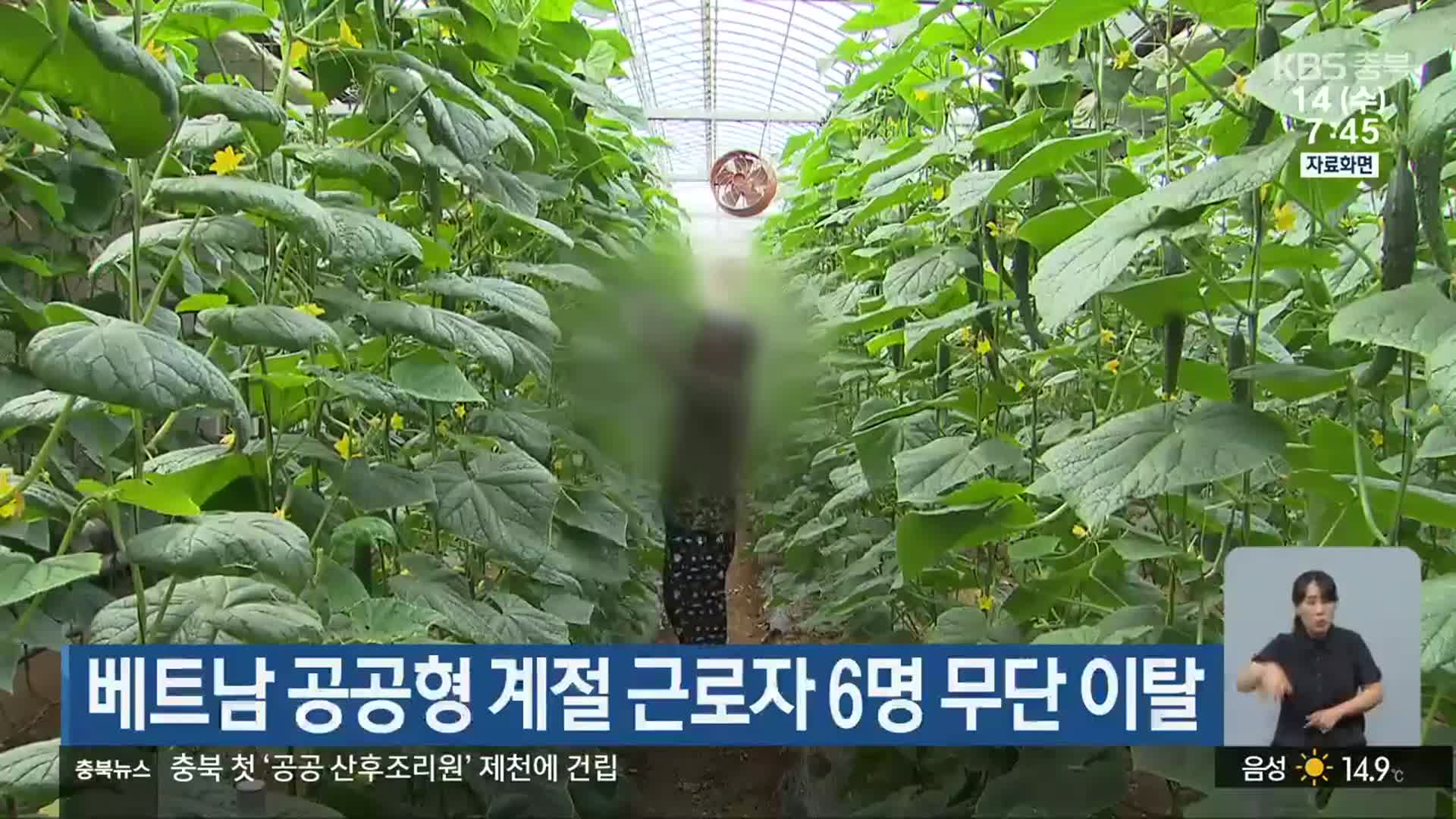 베트남 공공형 계절 근로자 6명 무단 이탈