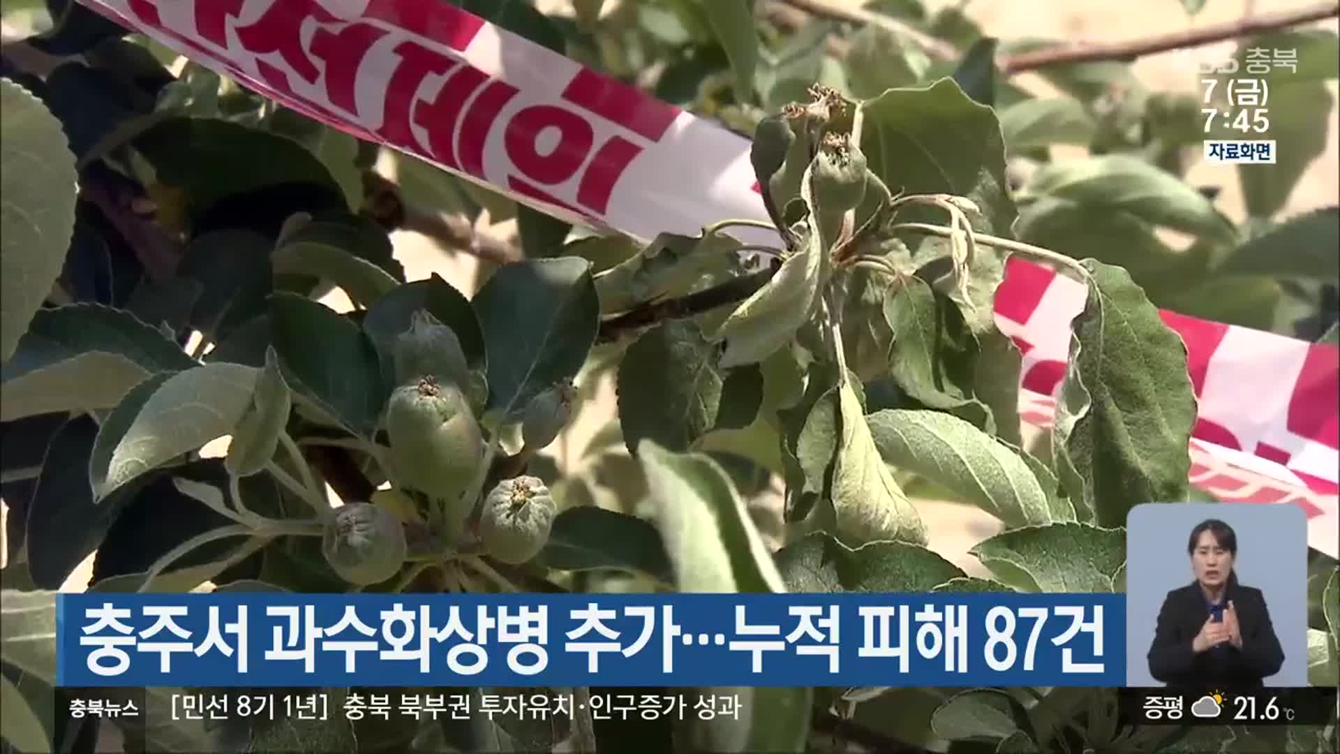 충주서 과수화상병 추가…누적 피해 87건