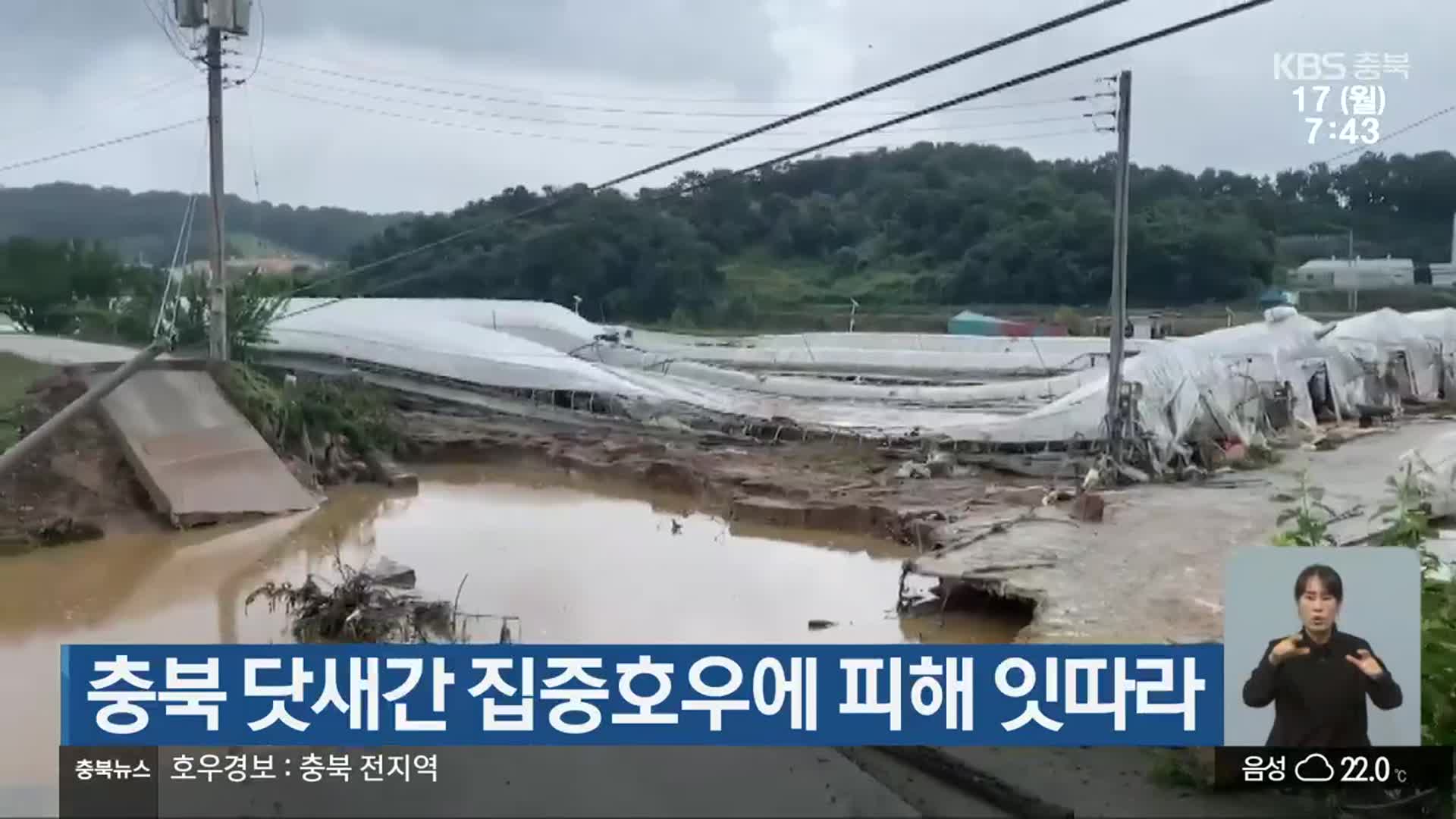 충북 닷새간 집중호우에 피해 잇따라