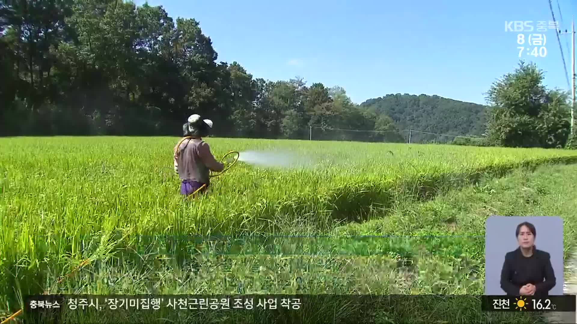 장마·폭염·태풍에 병해충 기승…“지금이 방제 적기”