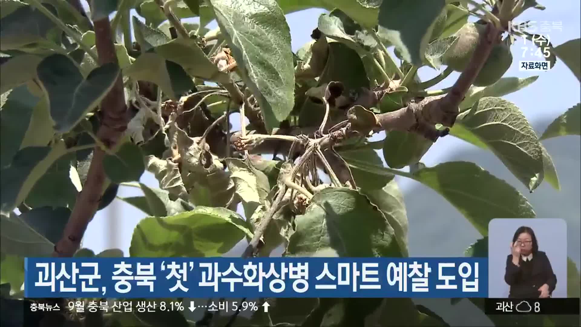 괴산군, 충북 ‘첫’ 과수화상병 스마트 예찰 도입