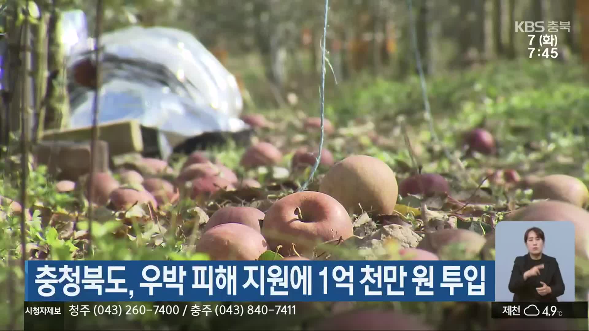 충청북도, 우박 피해 지원에 1억 천만 원 투입