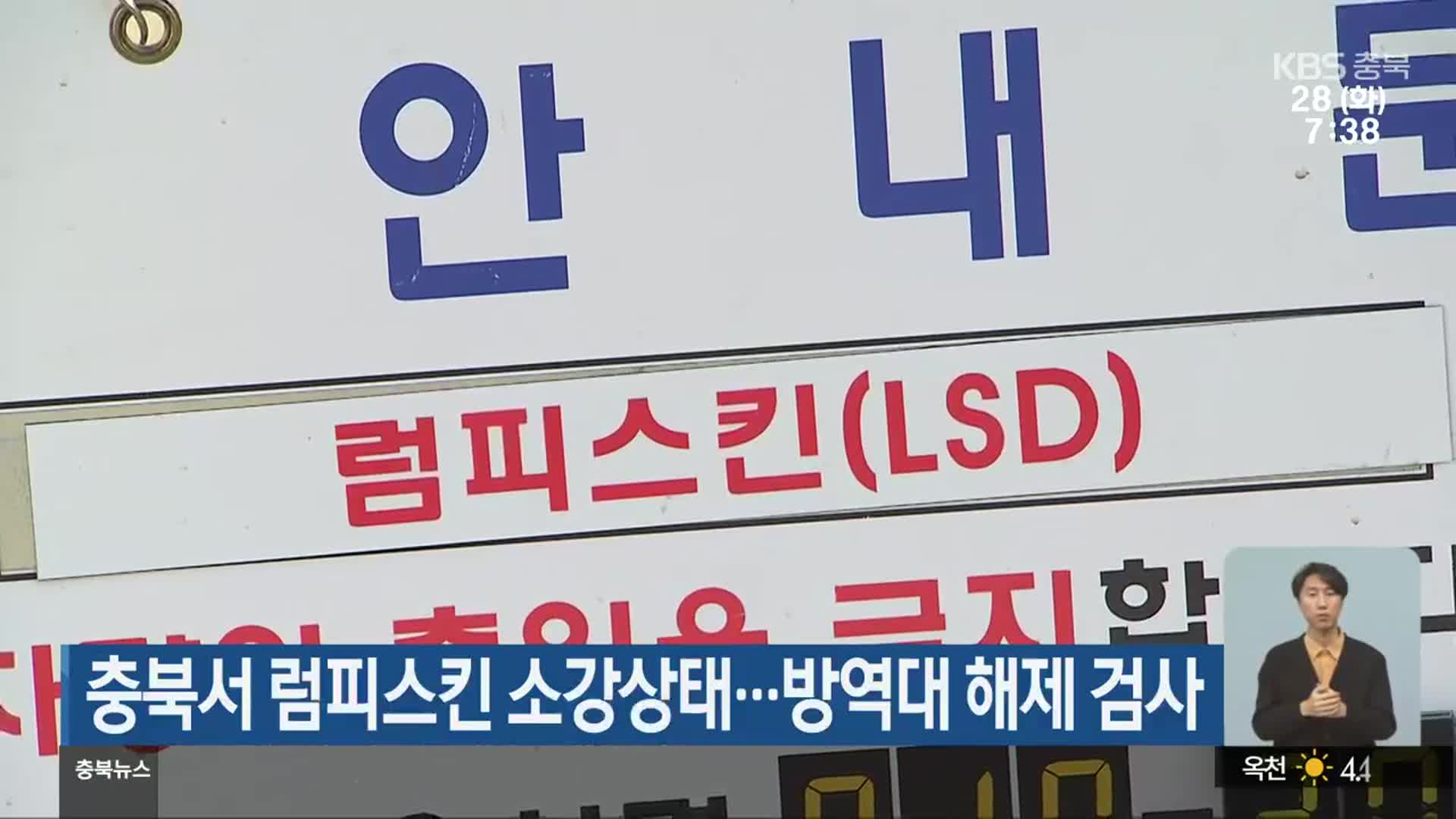 충북서 럼피스킨 소강상태…방역대 해제 검사
