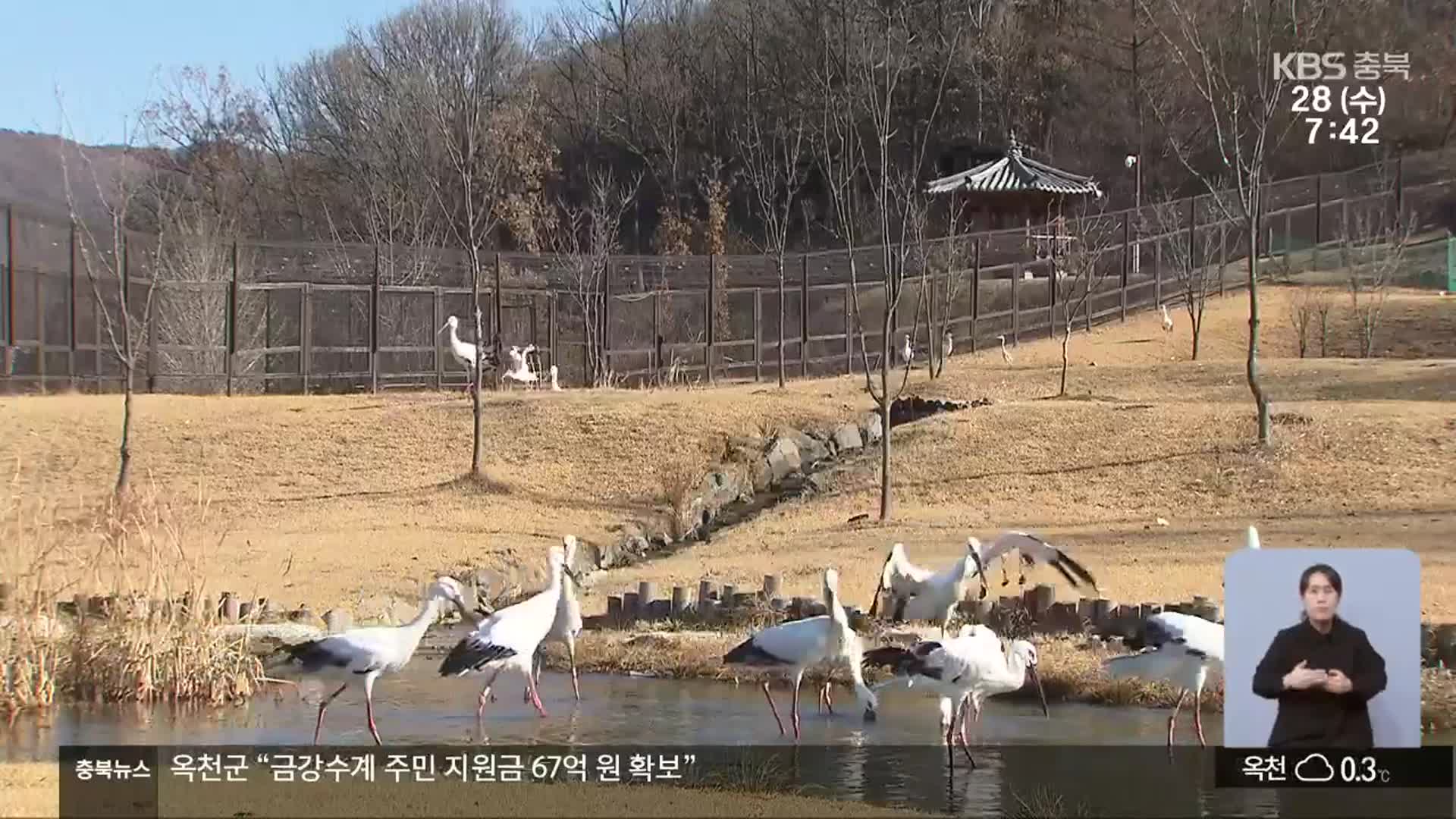 황새 마지막 서식지에 생태공원 구축…활용 방안 이견