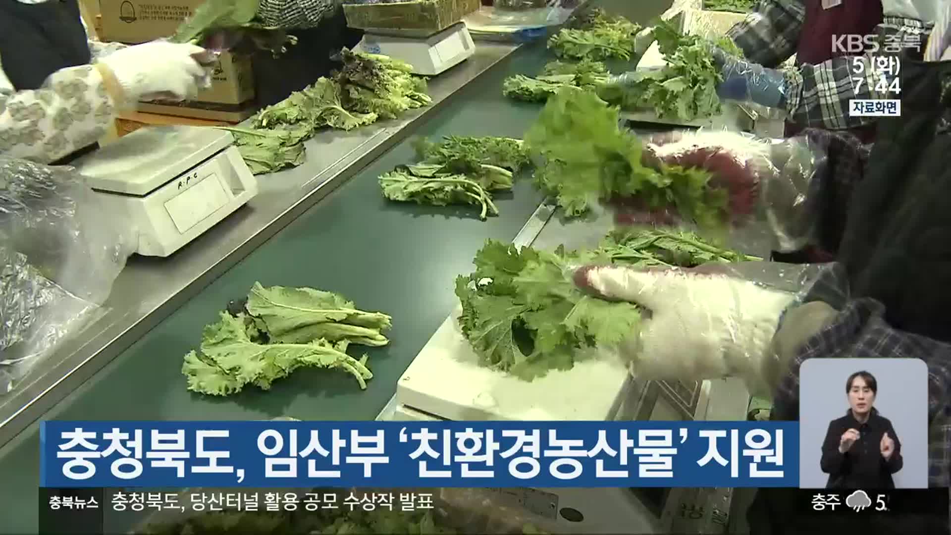 충청북도, 임산부 ‘친환경농산물’ 지원