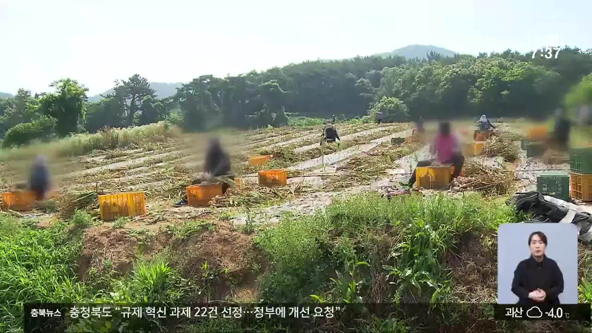 외국인 계절근로자 역대 최다…“대응책 필요”