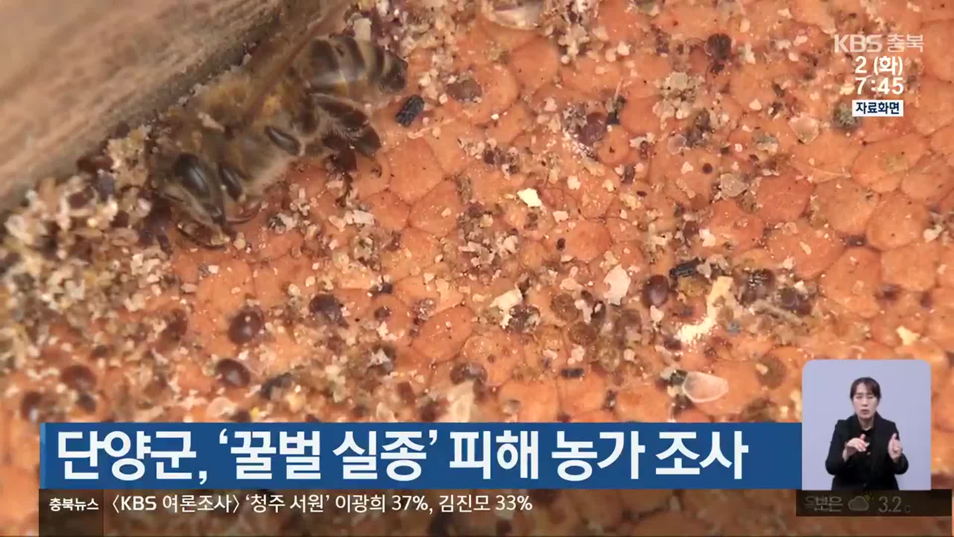 단양군, ‘꿀벌 실종’ 피해 농가 조사