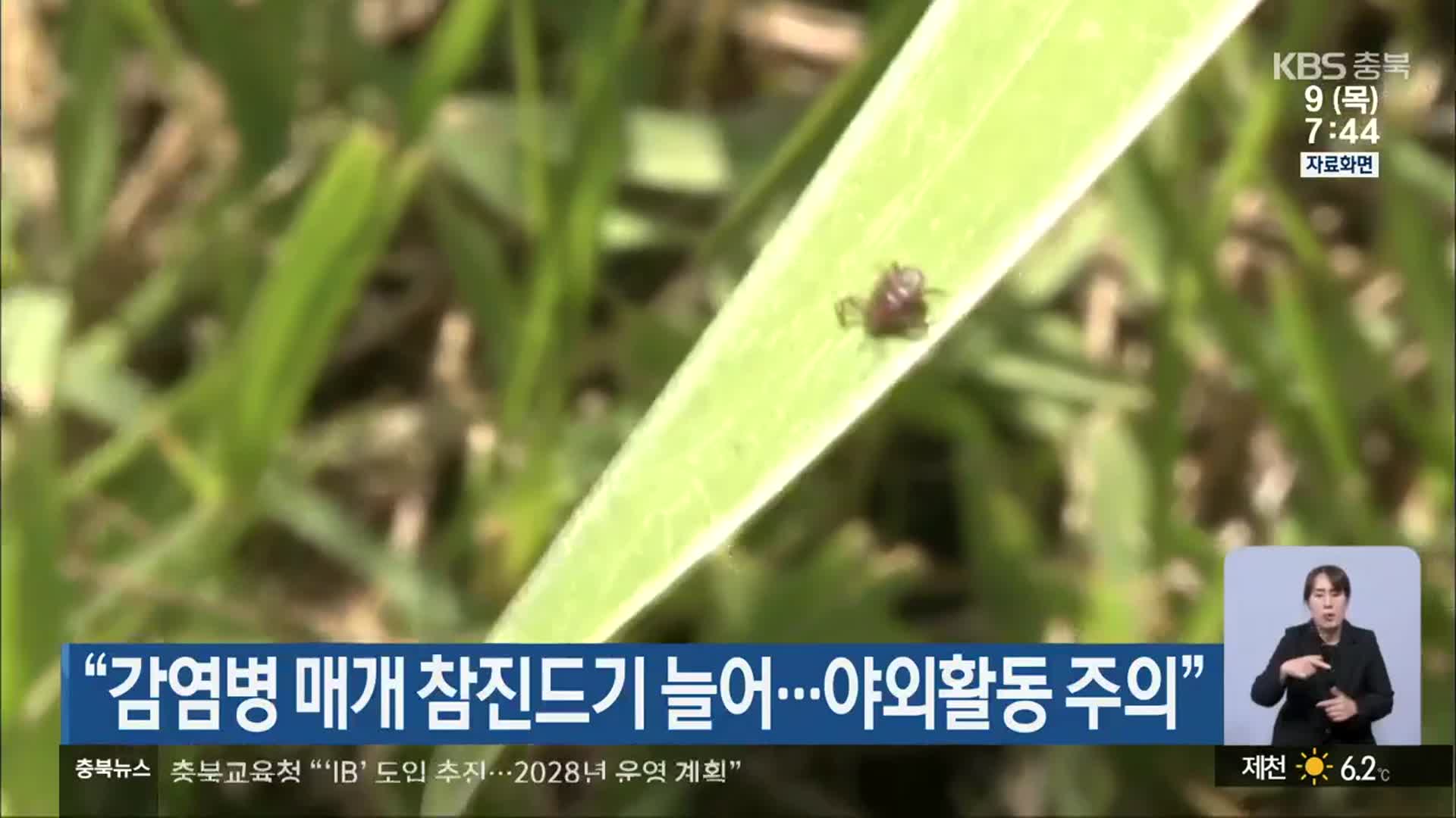 “감염병 매개 참진드기 늘어…야외활동 주의”