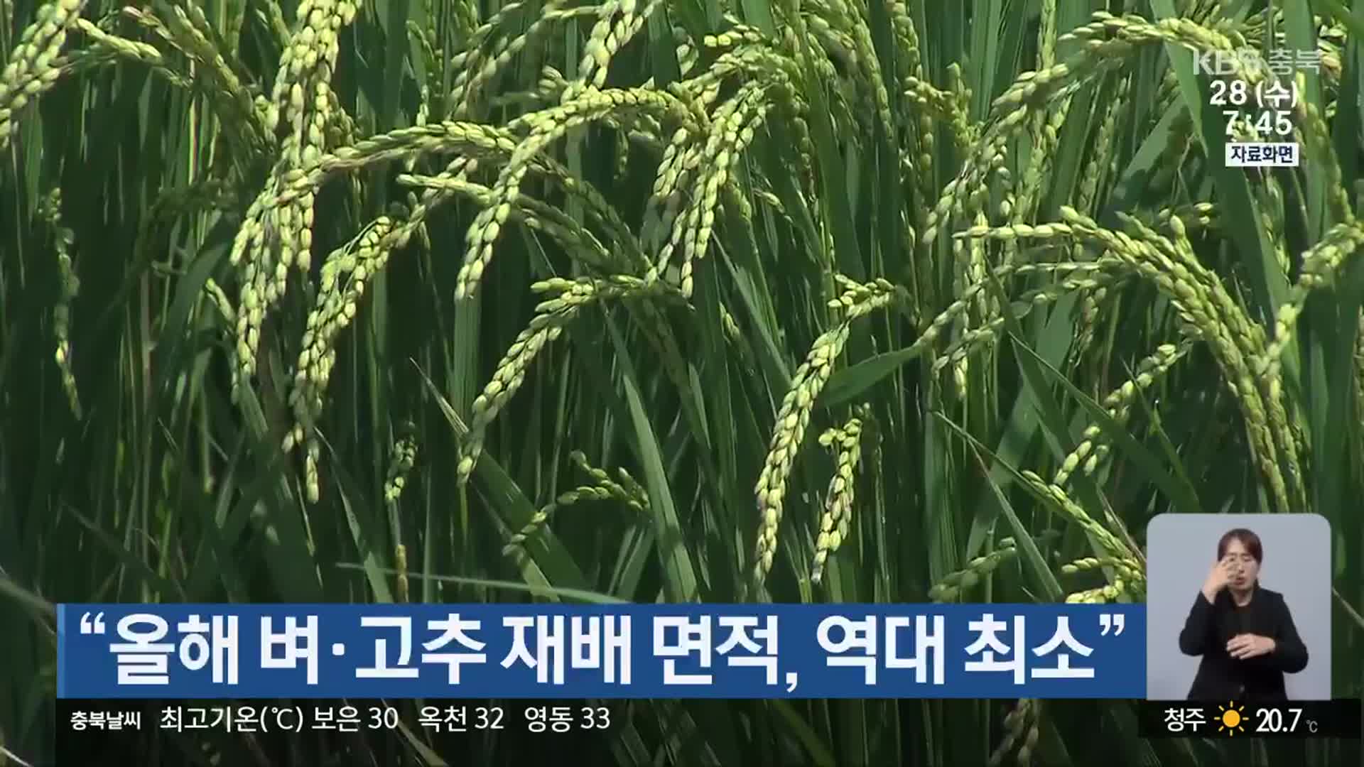 “올해 벼·고추 재배 면적, 역대 최소”
