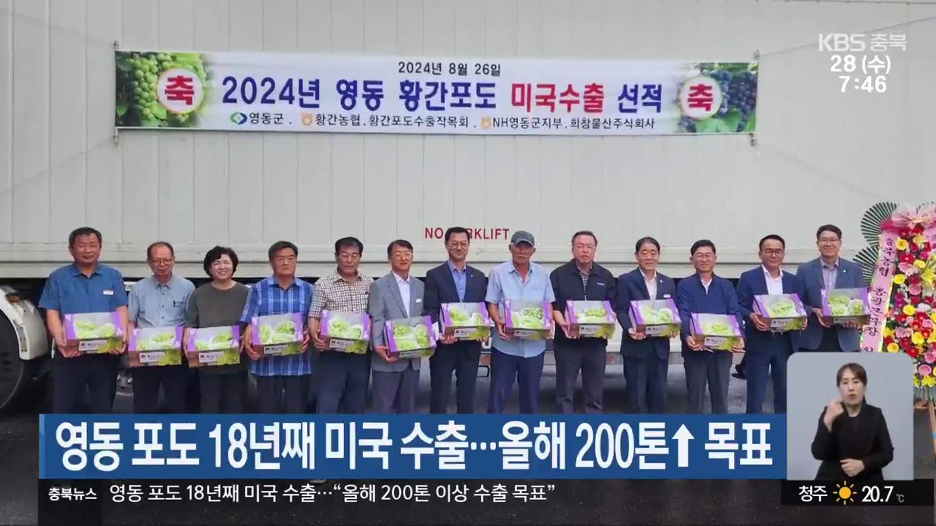영동 포도 18년째 미국 수출…올해 200톤↑ 목표