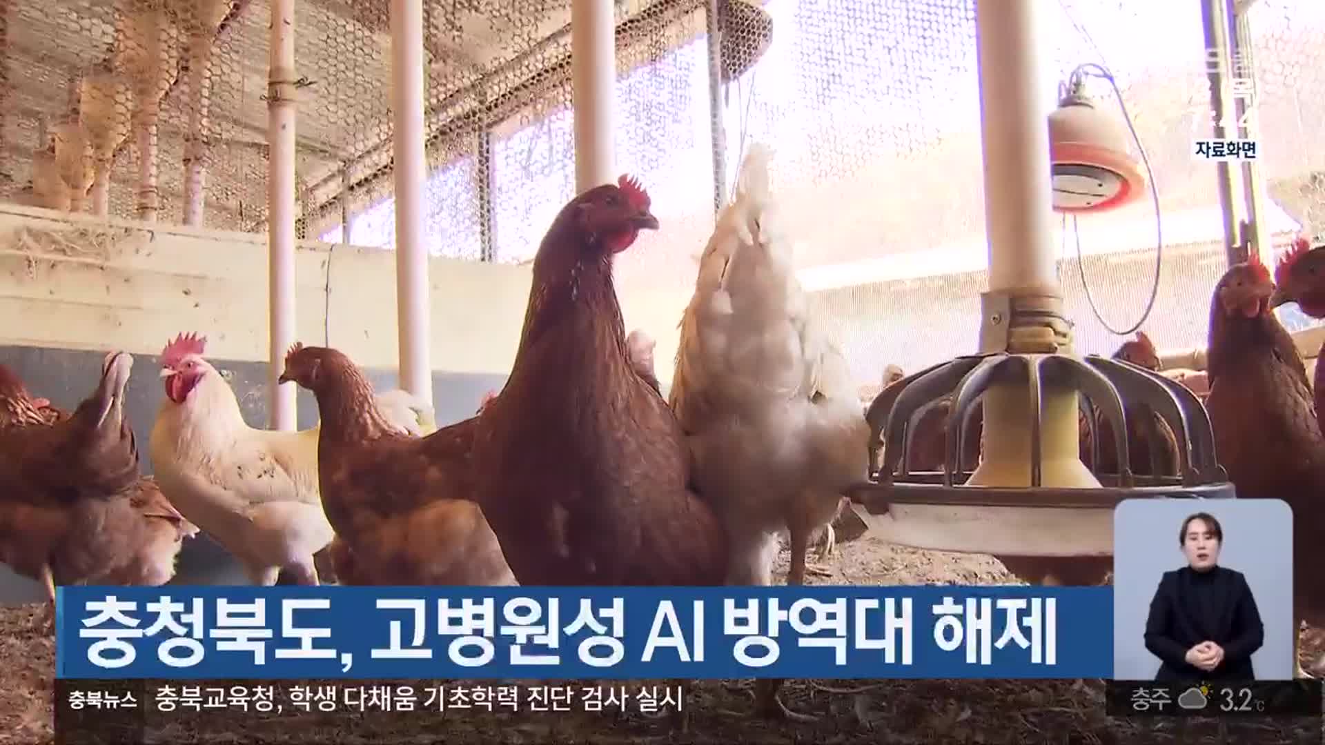 충청북도, 고병원성 AI 방역대 해제