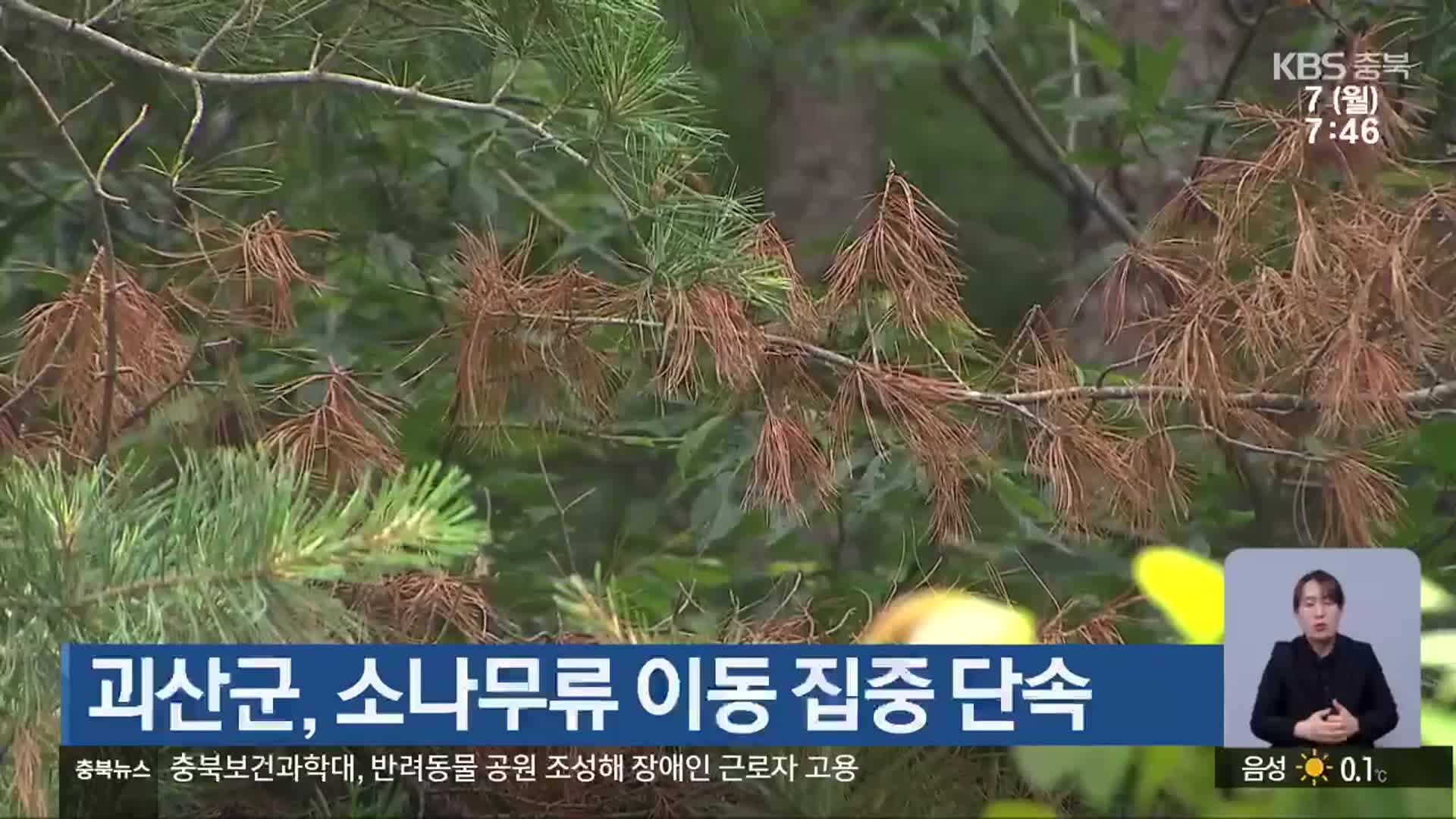 괴산군, 소나무류 이동 집중 단속