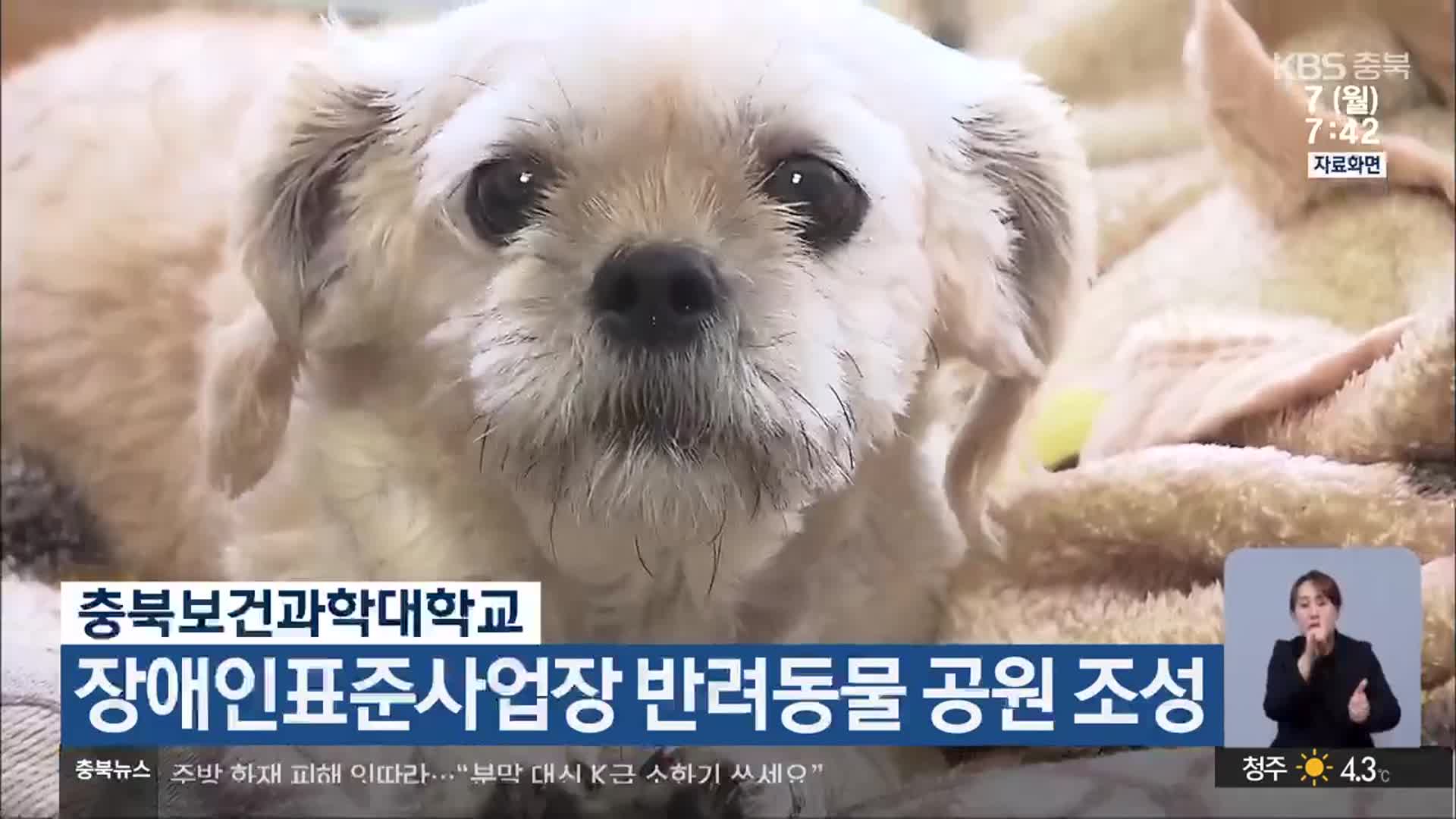 충북보건과학대학교, 장애인표준사업장 반려동물 공원 조성