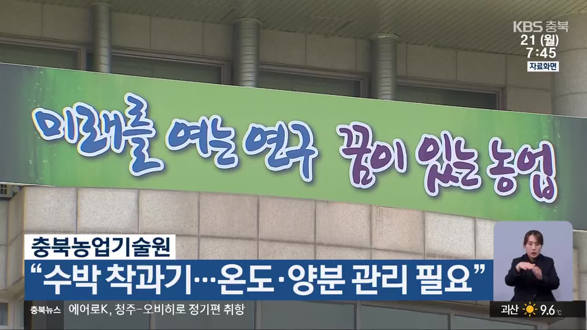 충북농업기술원 “수박 착과기…온도·양분 관리 필요”