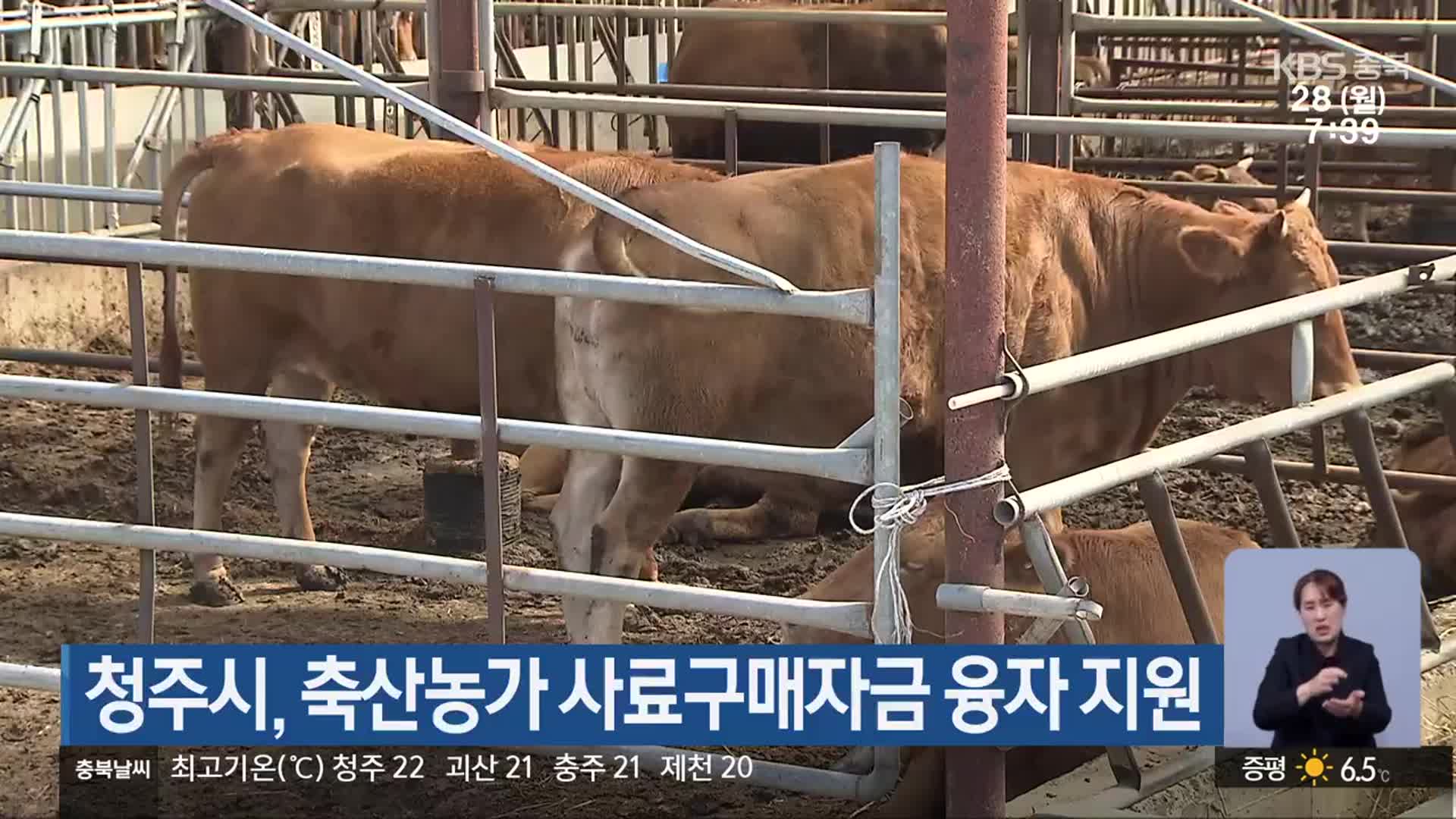 청주시, 축산농가 사료구매자금 융자 지원