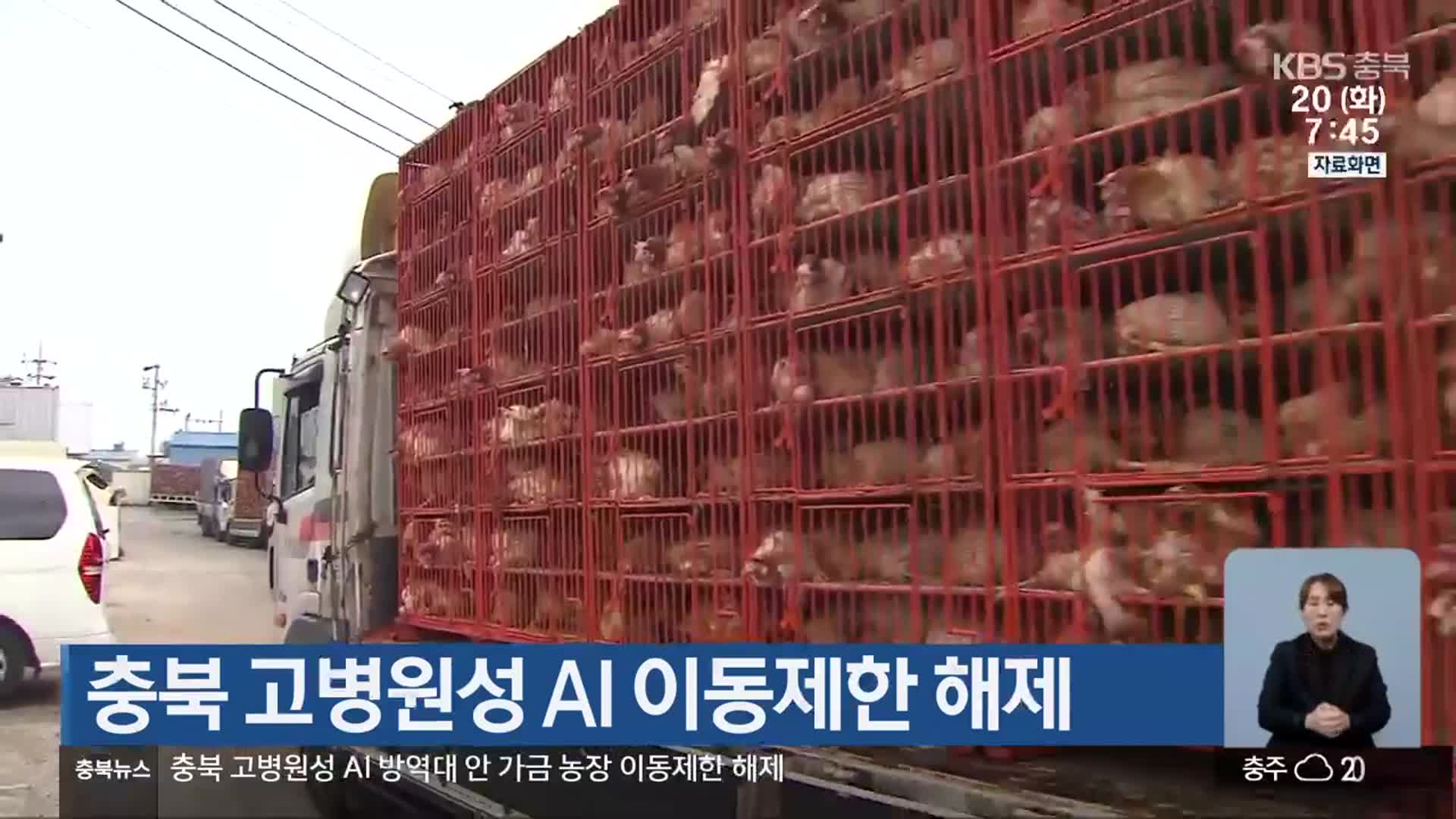 충북 고병원성 AI 이동제한 해제