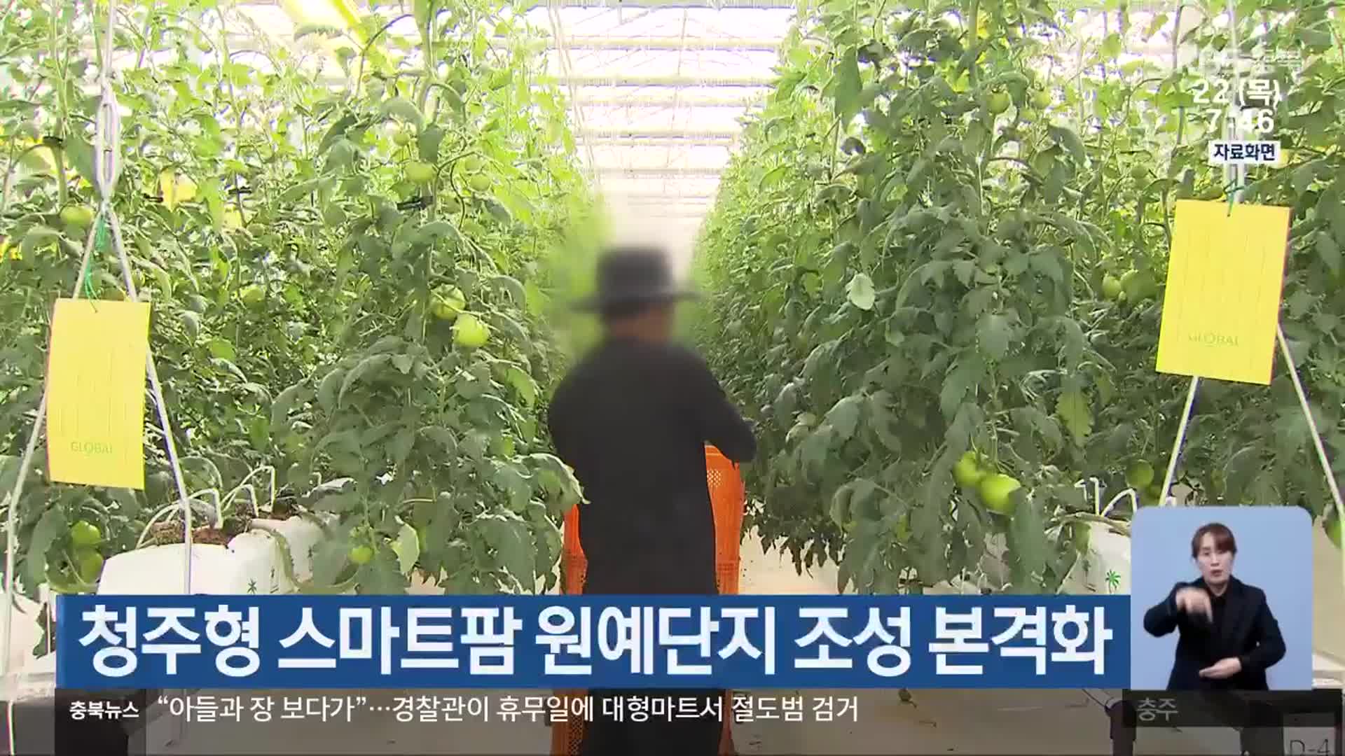 청주형 스마트팜 원예단지 조성 본격화