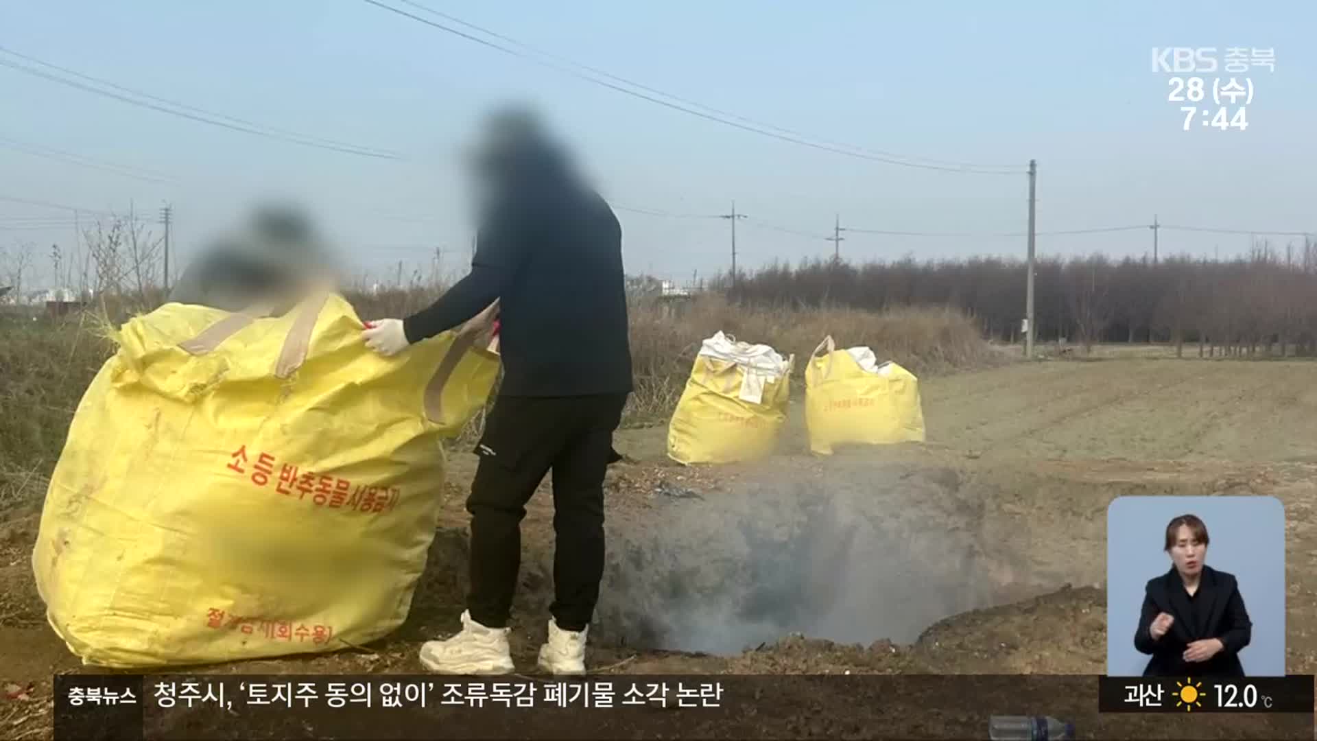 [단독/현장K] 남의 땅에서 조류독감 폐기물 소각…땅 주인은 분통