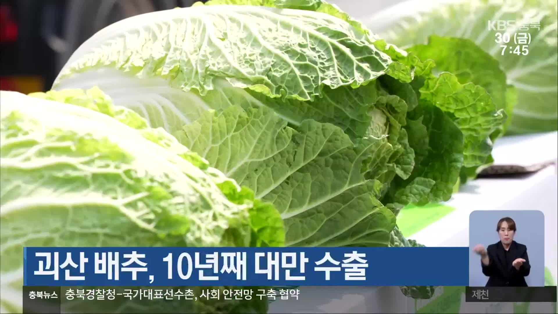 괴산 배추, 10년째 대만 수출