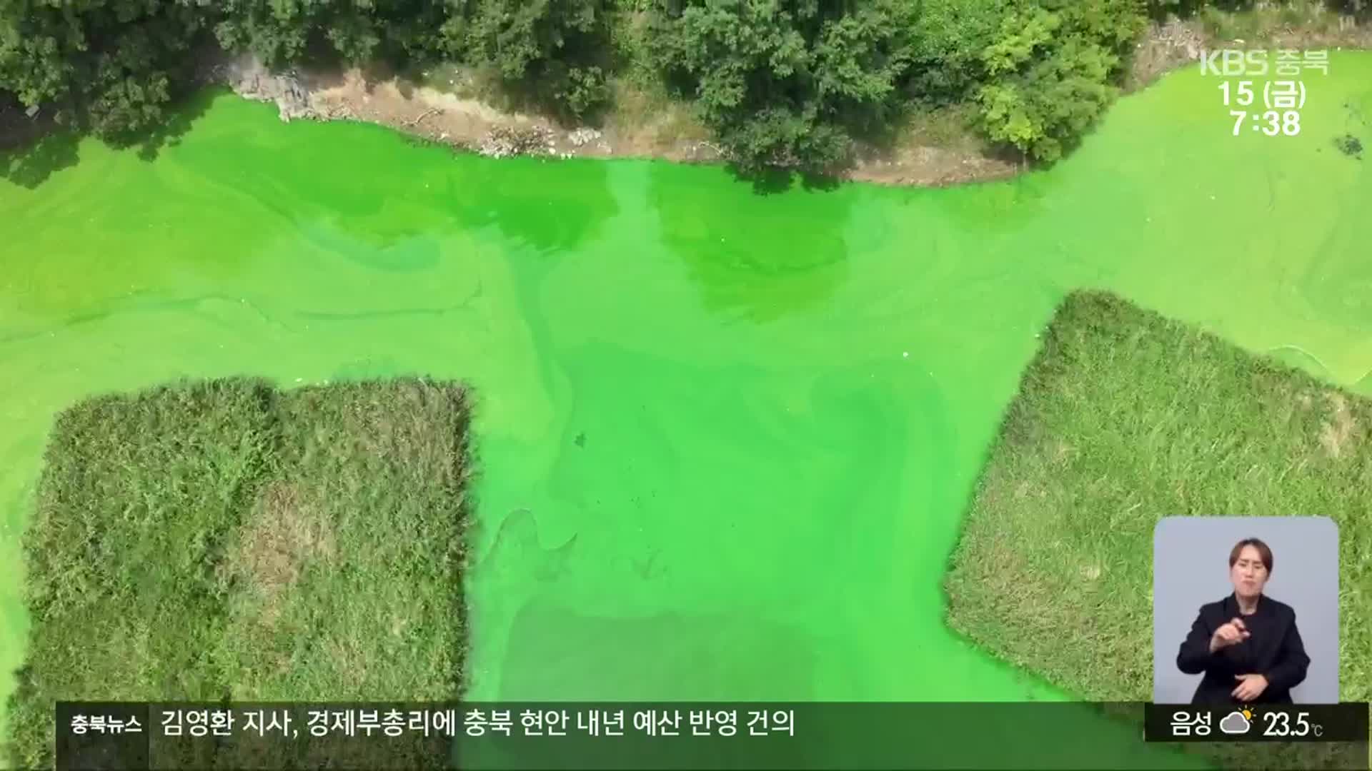 대청호 ‘녹조’ 10년째…근본 대책 시급