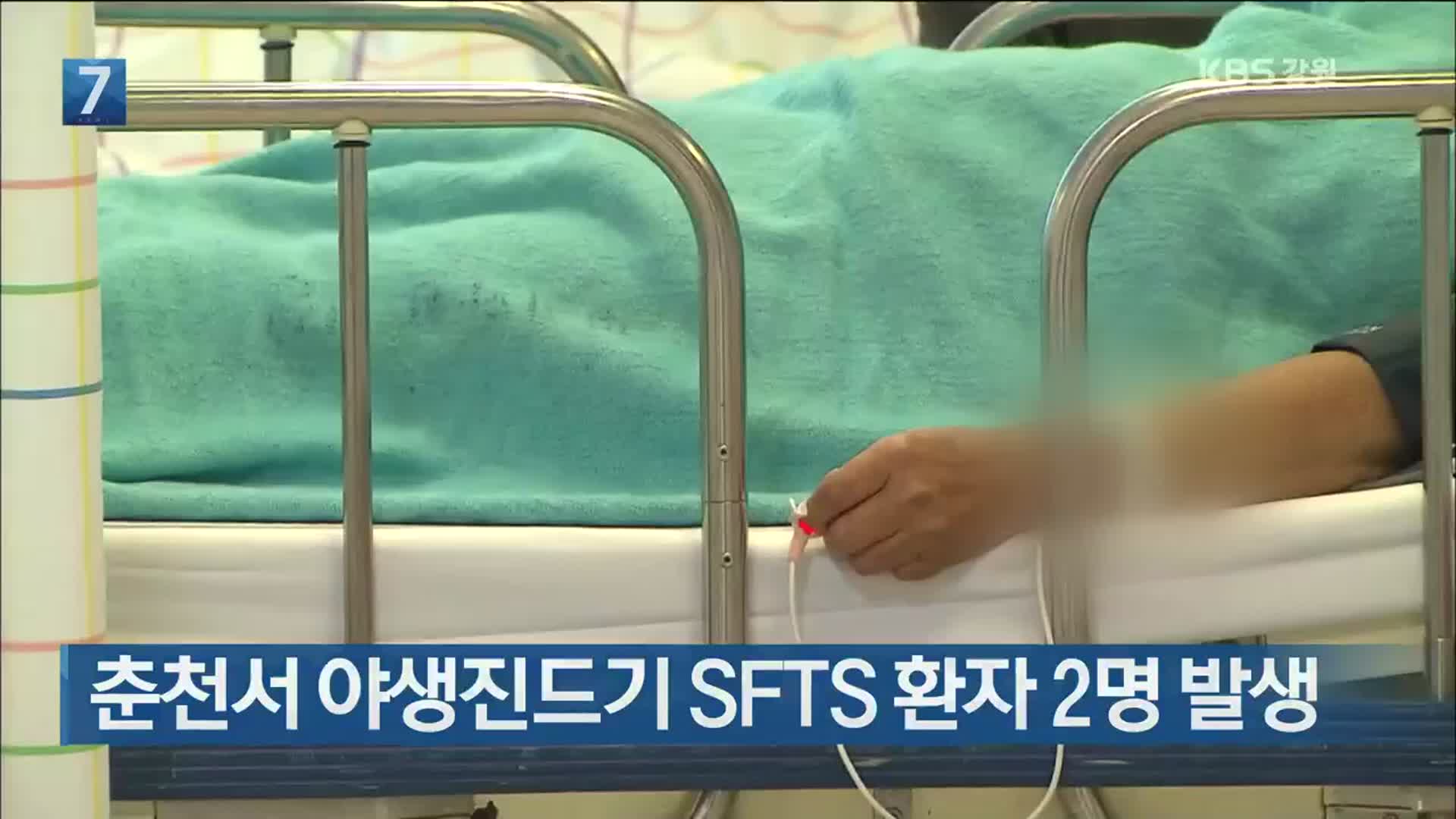 춘천서 야생진드기 SFTS 환자 2명 발생