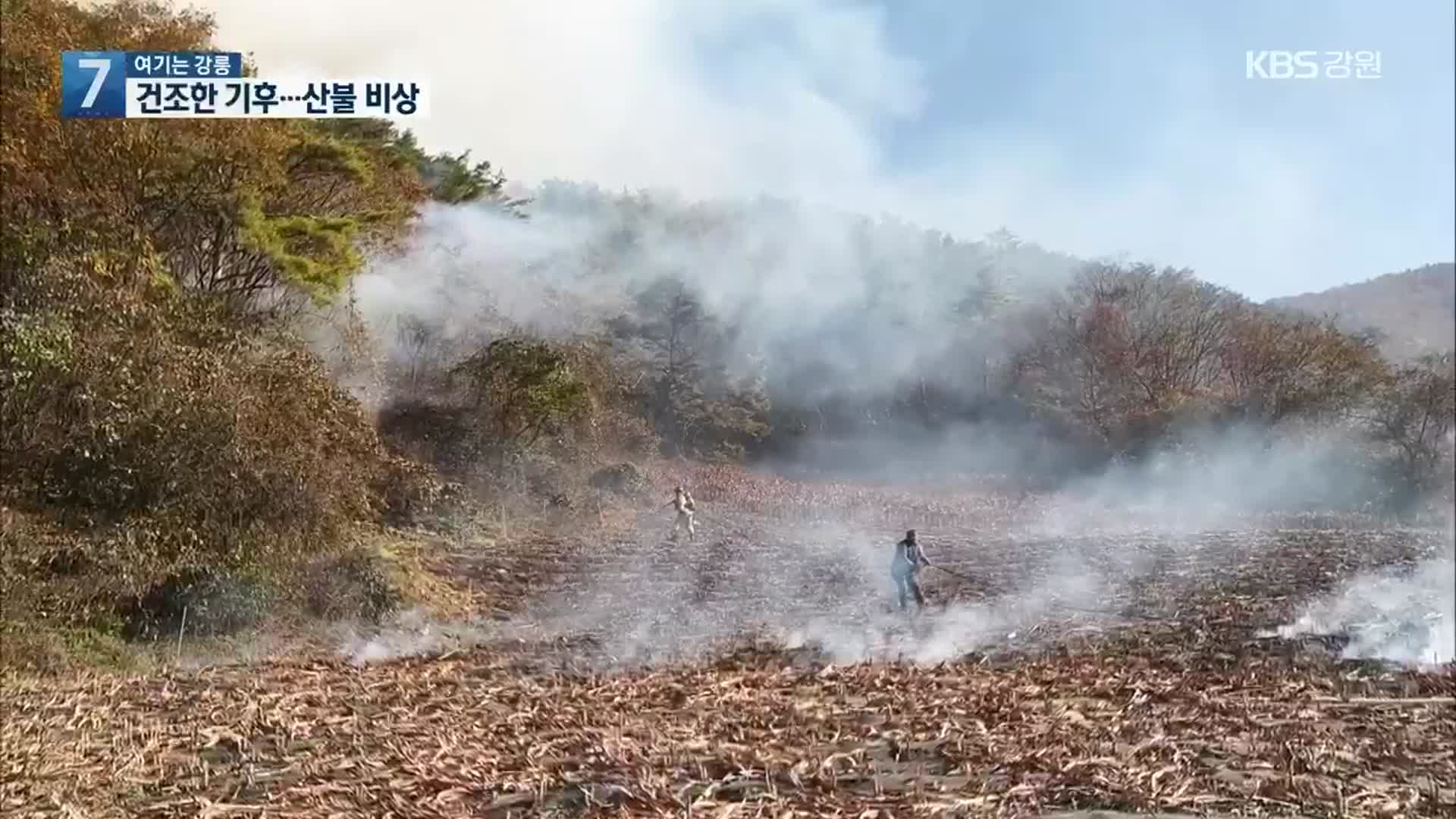 [여기는 강릉] 산불조심기간 시작…인재 막아야