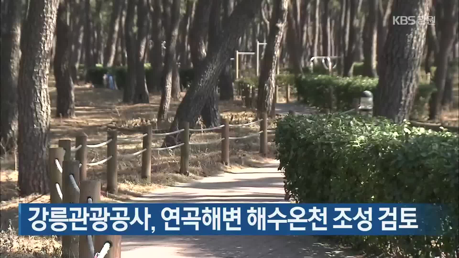 강릉관광공사, 연곡해변 해수온천 조성 검토