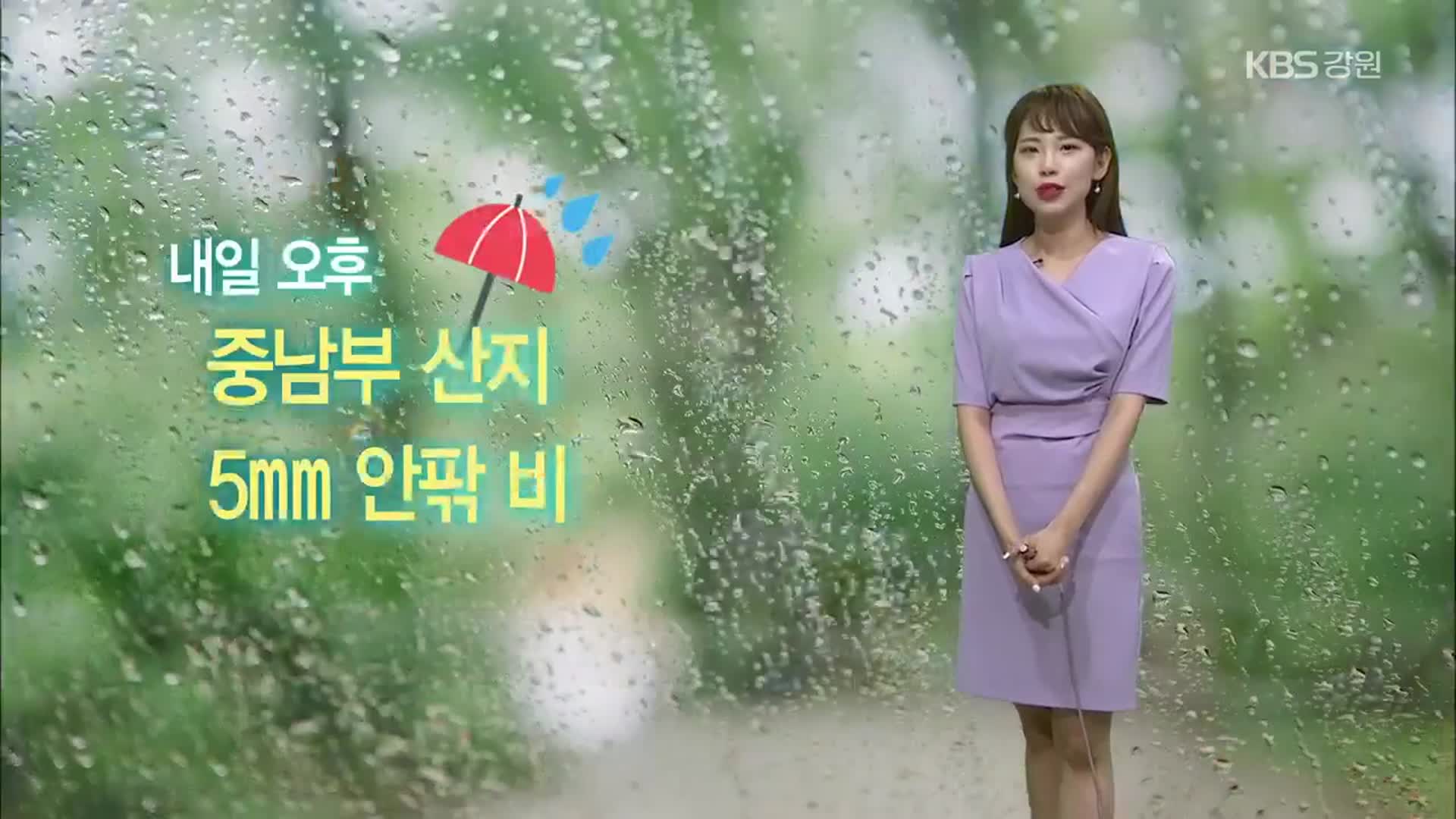 [날씨] 강원 내일 더 더워…중남부 산지 오후에 ‘비’