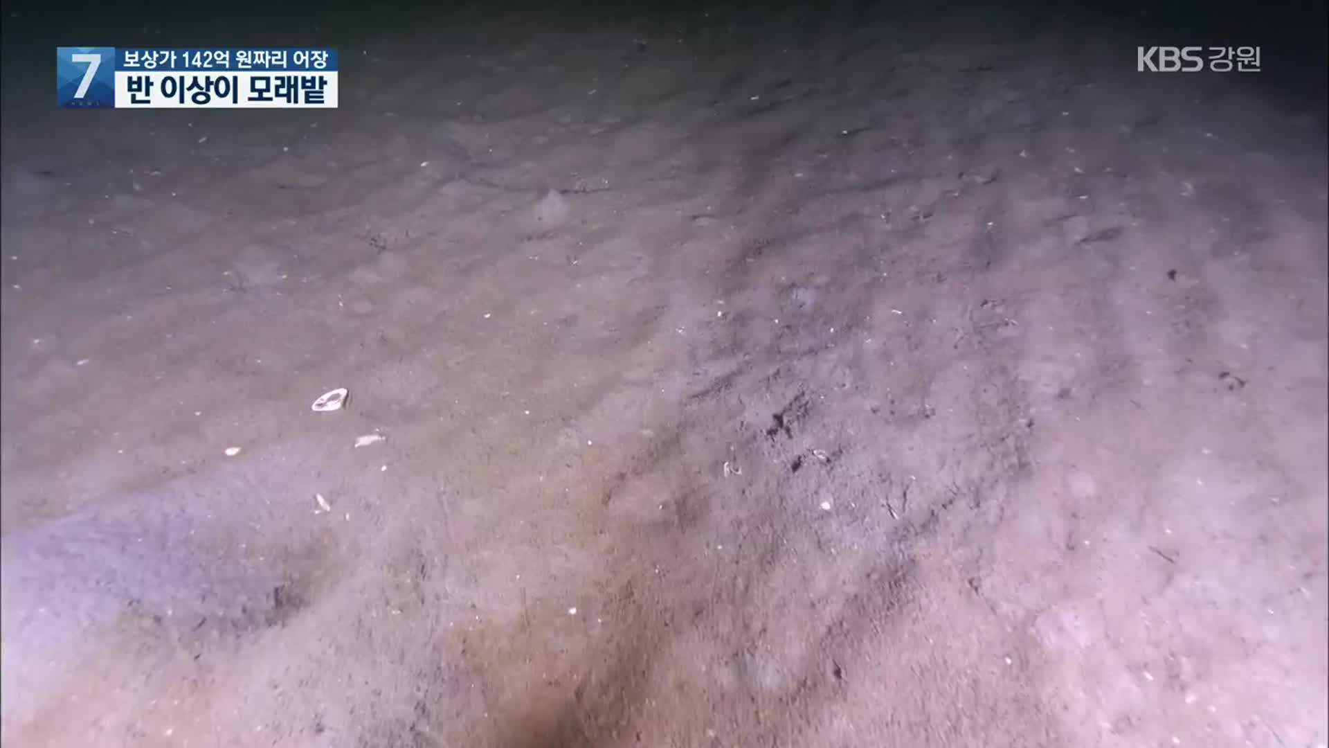 [어업보상]① 보상가 142억짜리 어장…반 이상이 모래밭