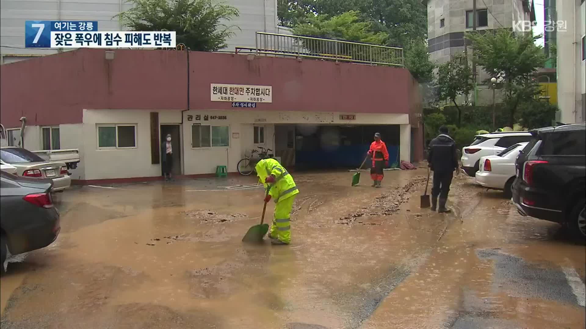 [여기는 강릉] 잦은 폭우에 침수 피해 반복…대책 시급
