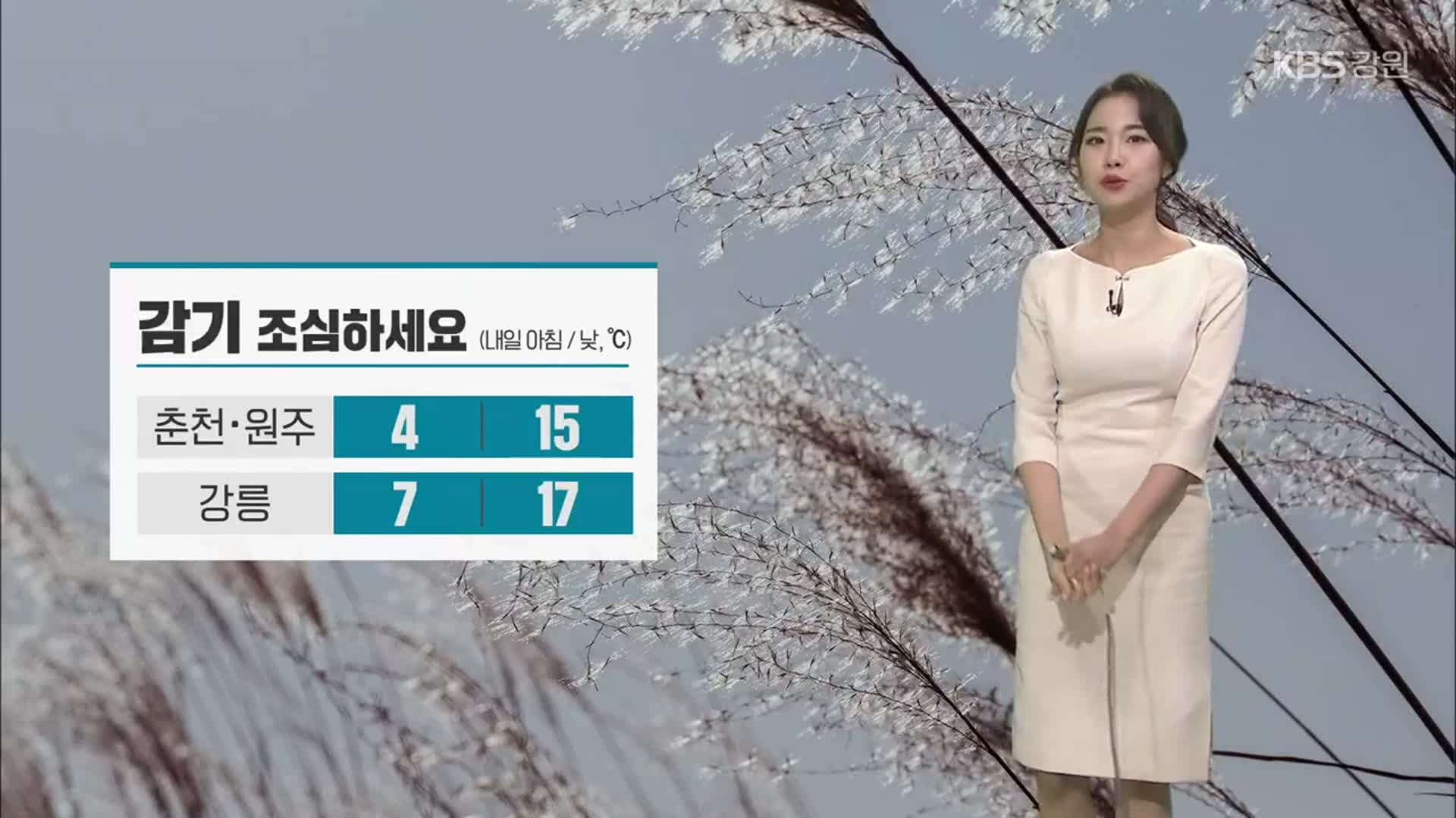 [날씨] 강원 내일 10도 이상 큰 일교차…짙은 안개 유의